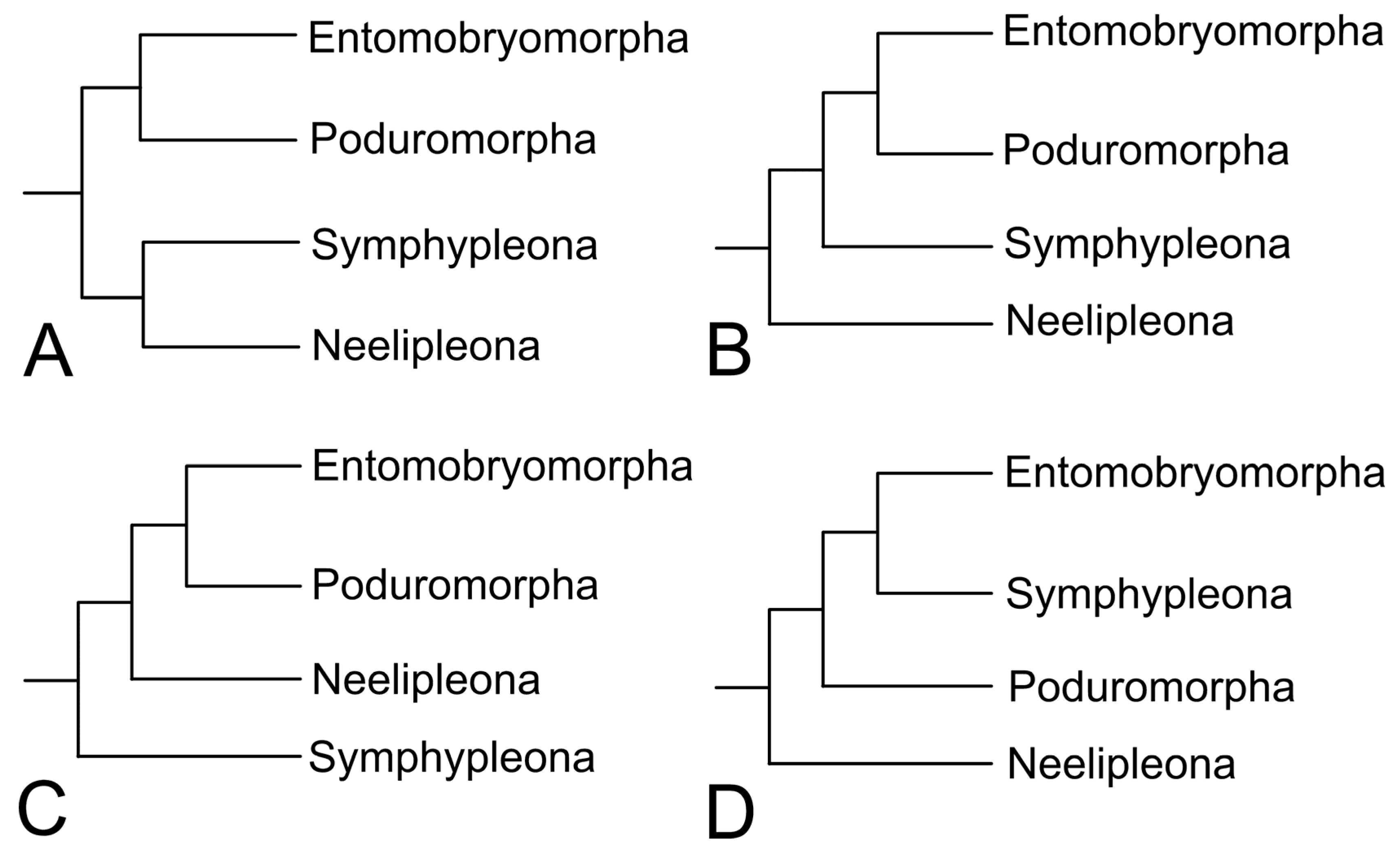 Diversity 15 00221 g003 Diversity 15 00221 g003