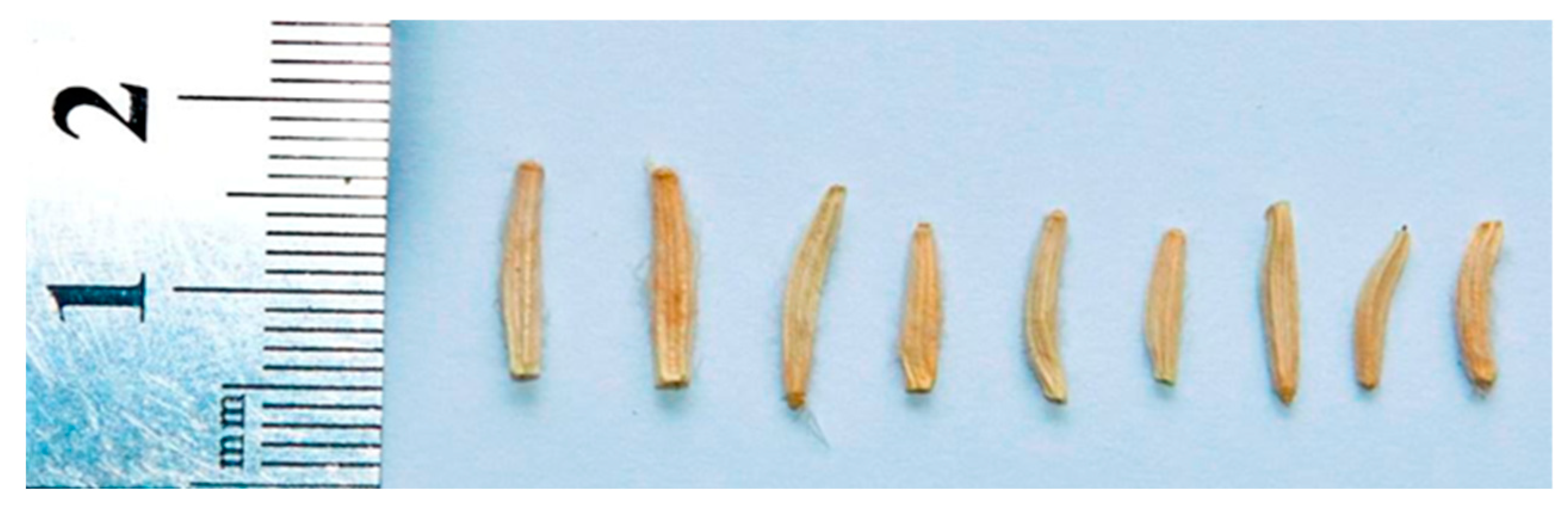 Diversity 15 00224 g002