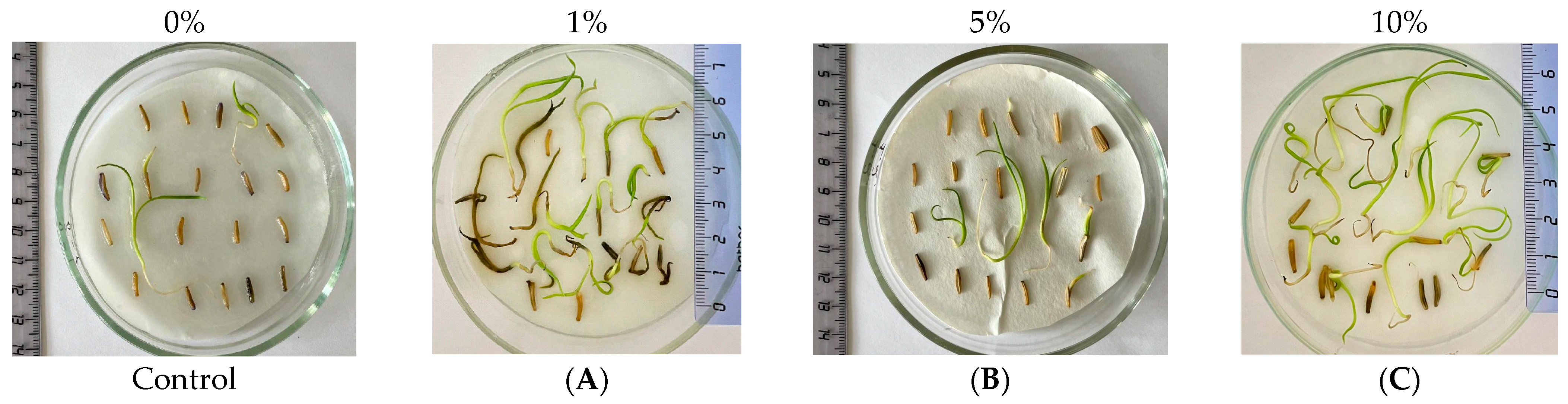 Diversity 15 00224 g003