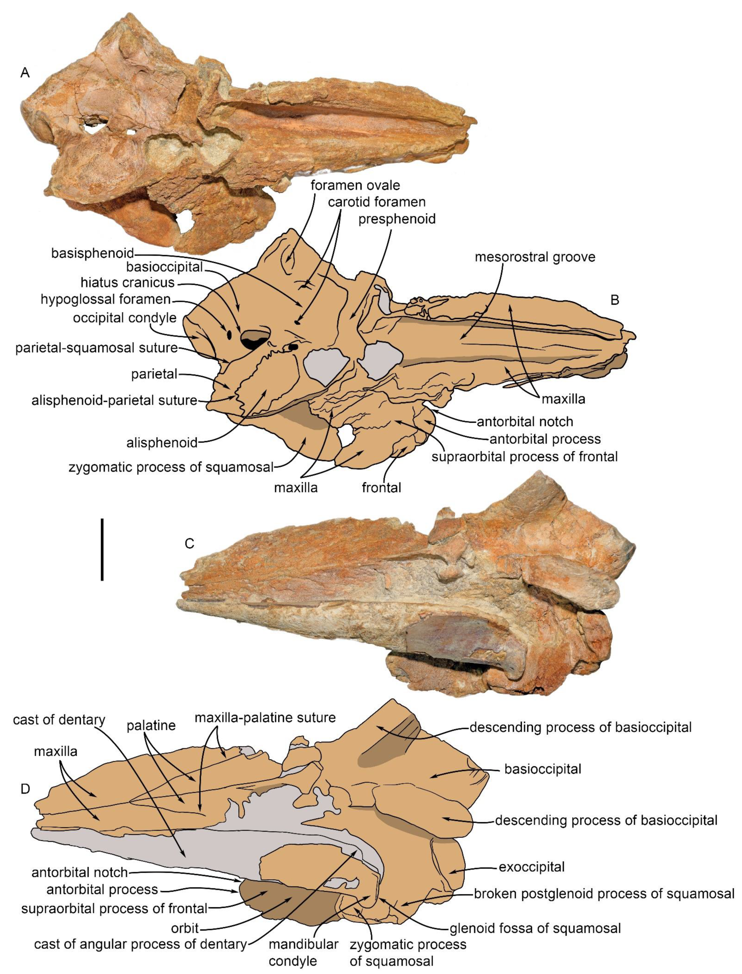 Diversity 15 00227 g004