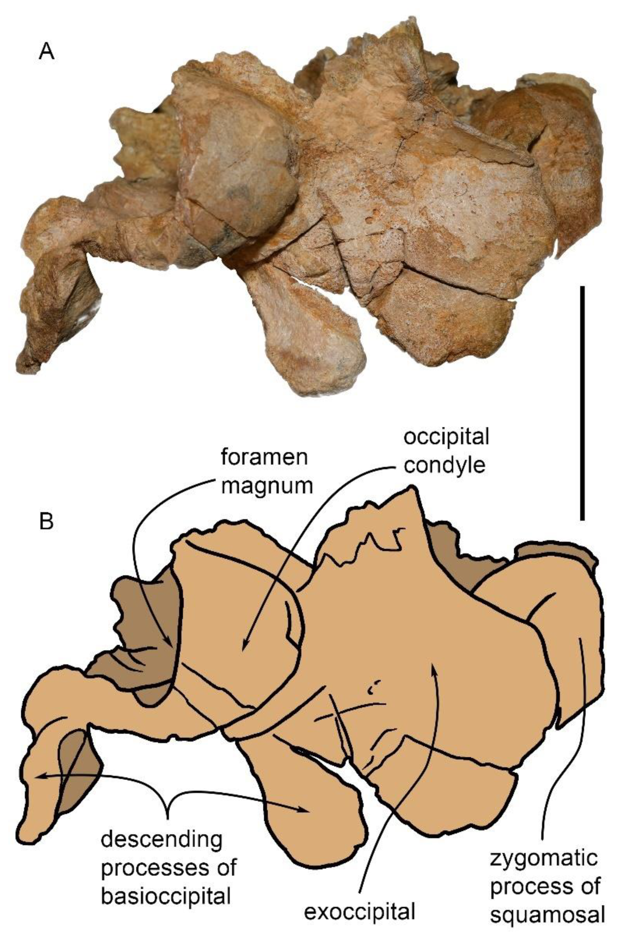 Diversity 15 00227 g008