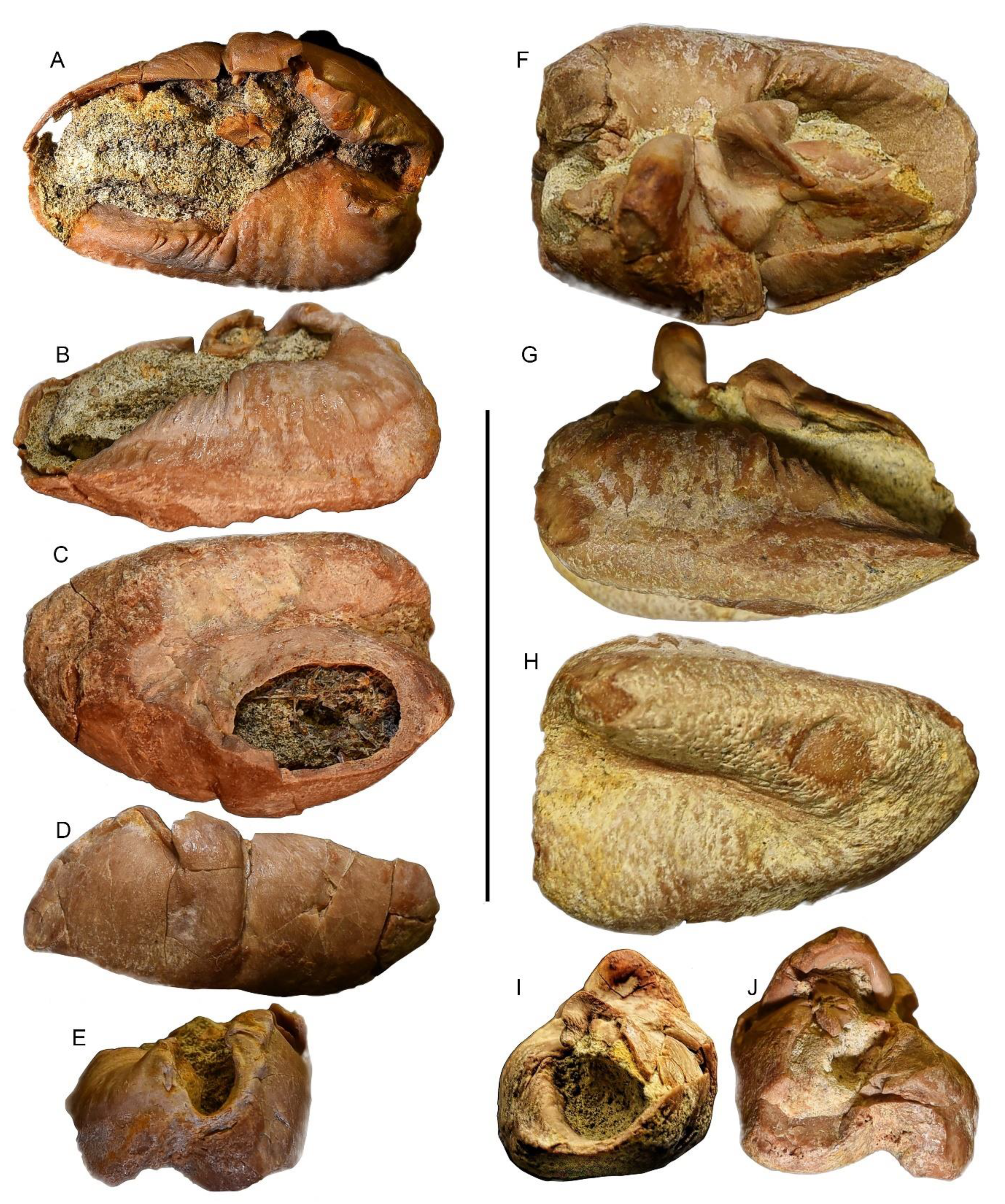 Diversity 15 00227 g009