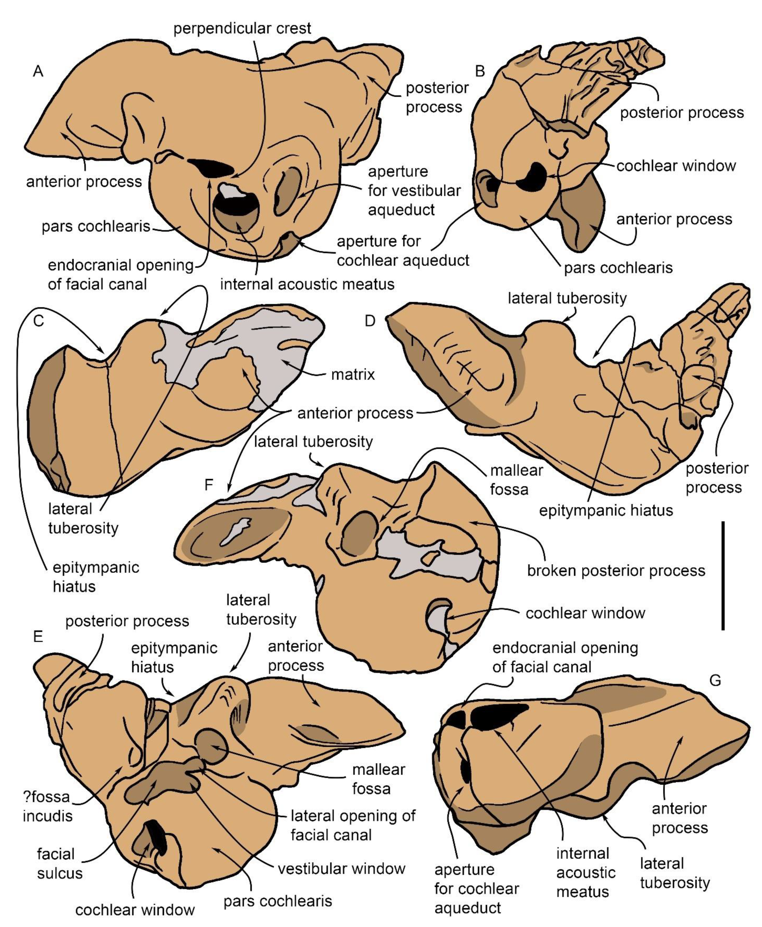 Diversity 15 00227 g012