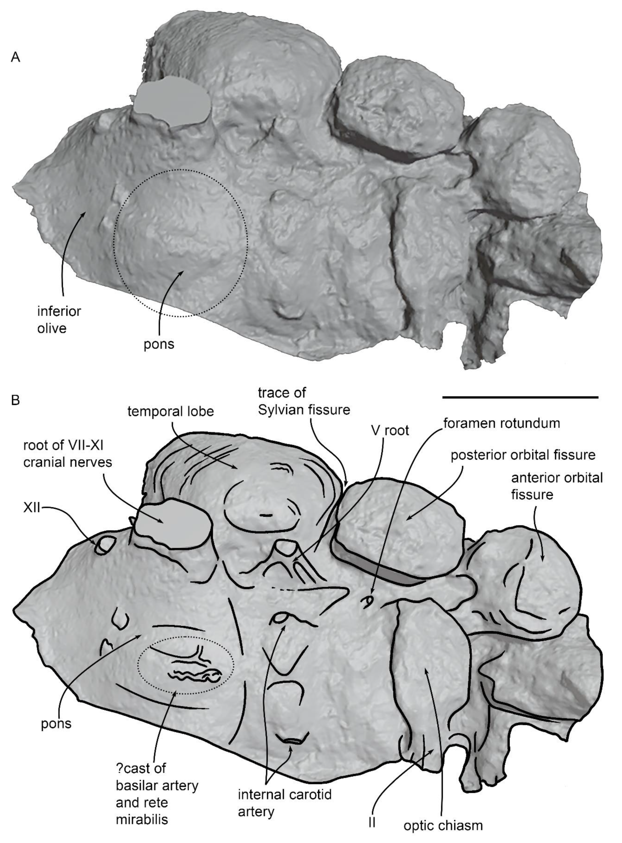 Diversity 15 00227 g014