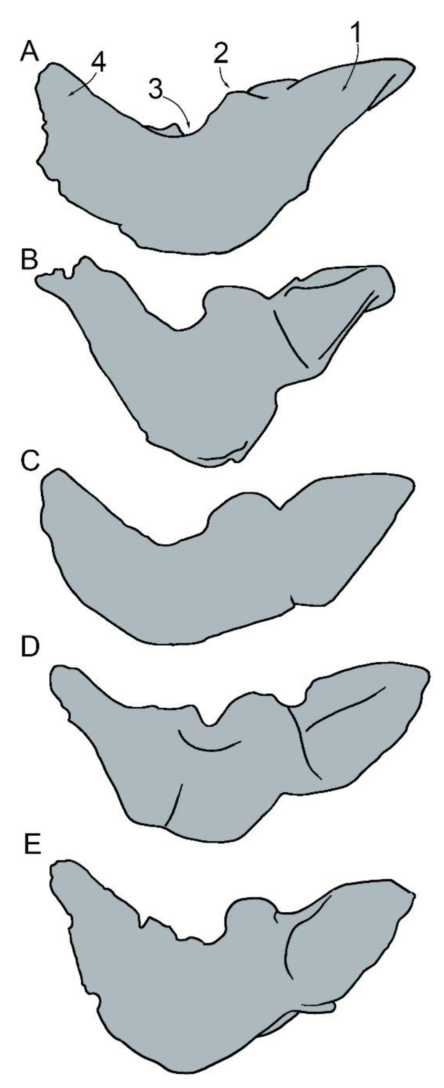 Diversity 15 00227 g017