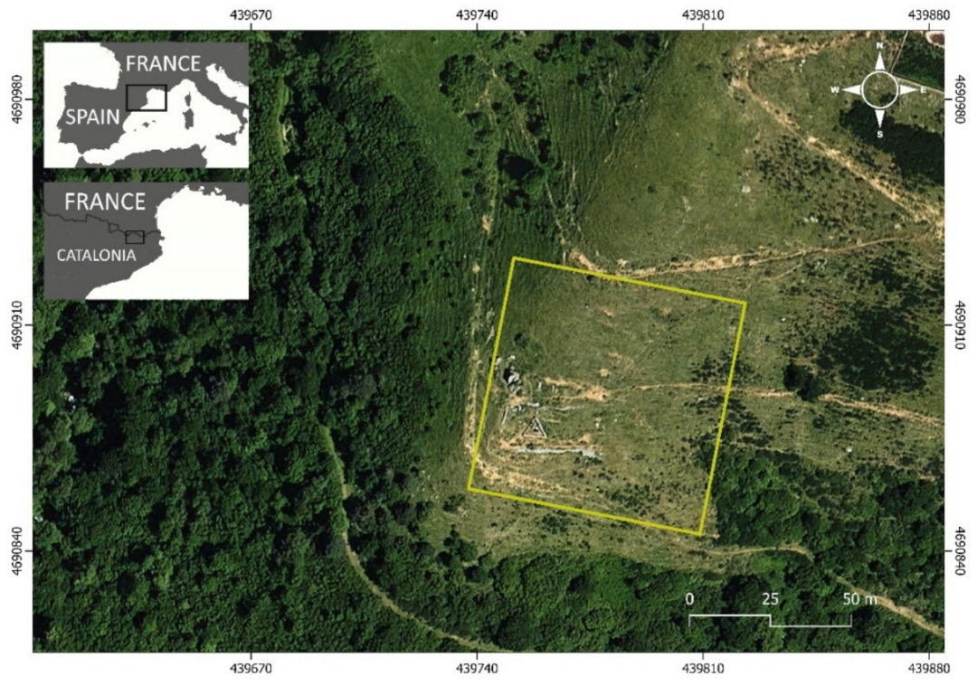 Diversity 15 00232 g001