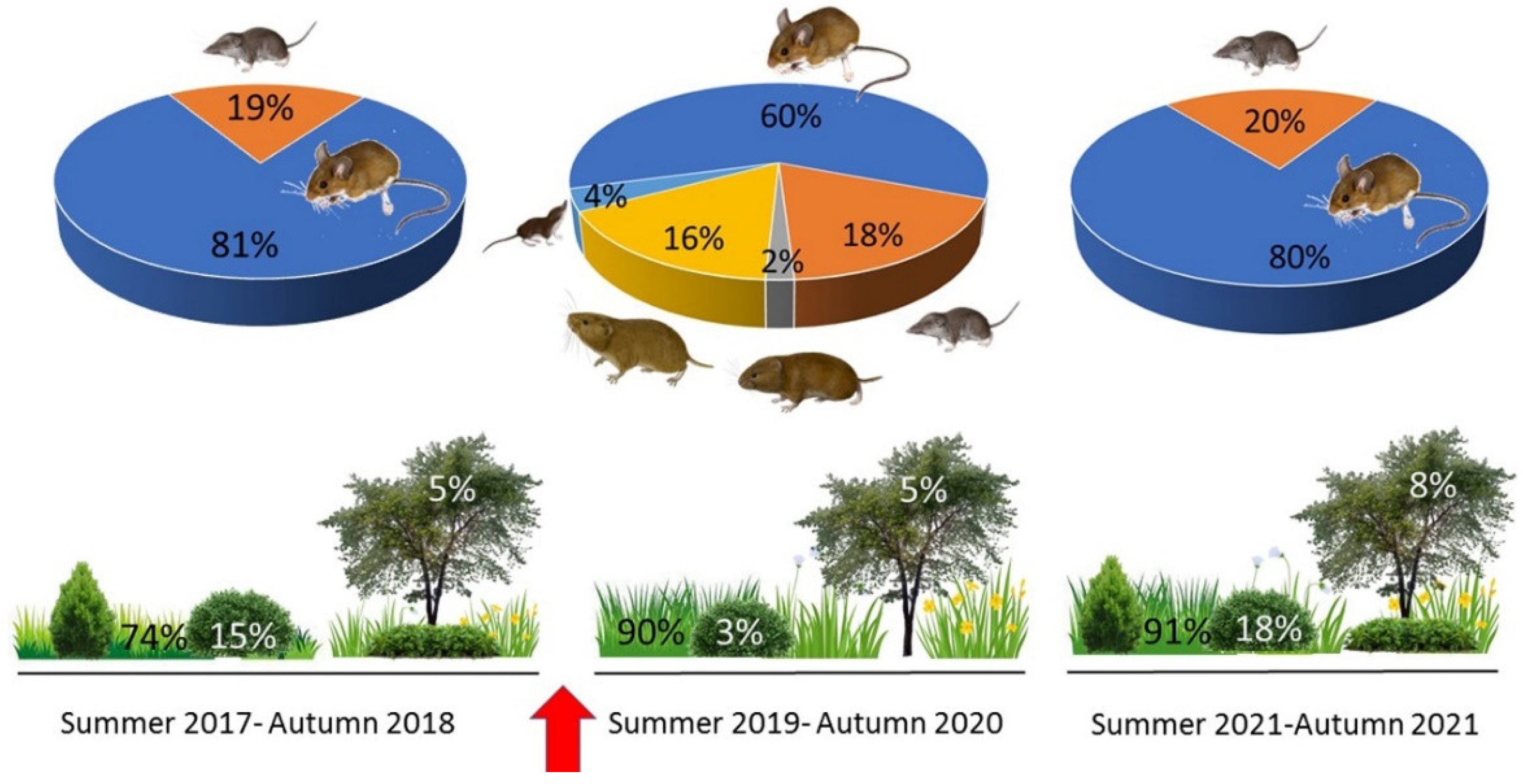 Diversity 15 00232 g003