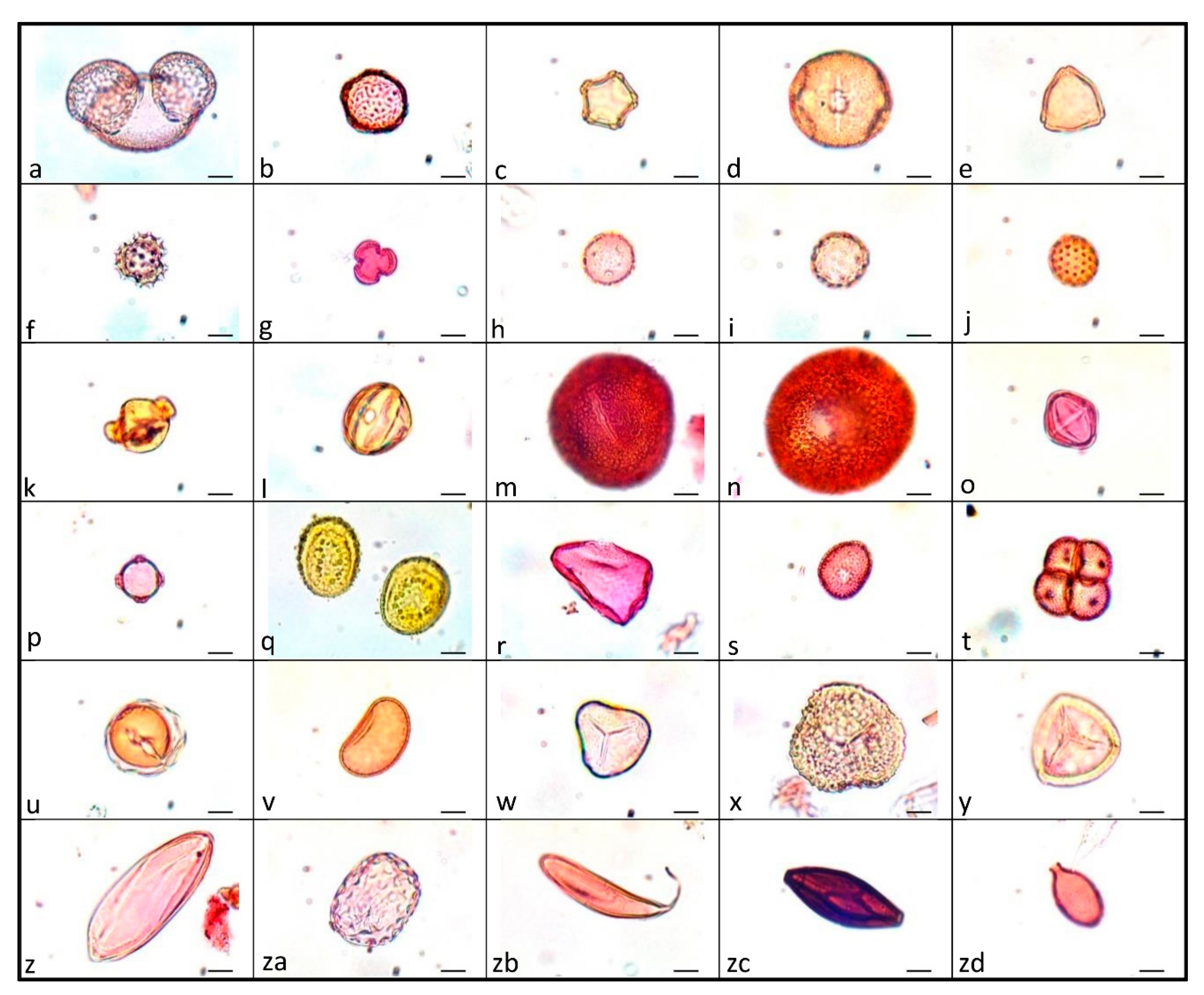 Diversity 15 00235 g006 Diversity 15 00235 g006