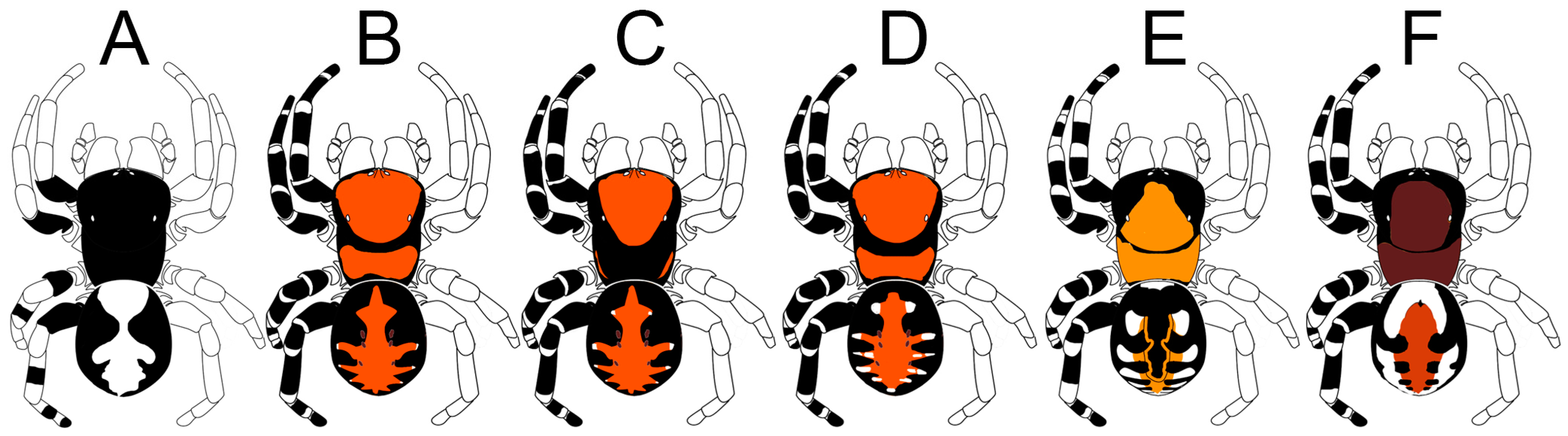 Diversity 15 00238 g002