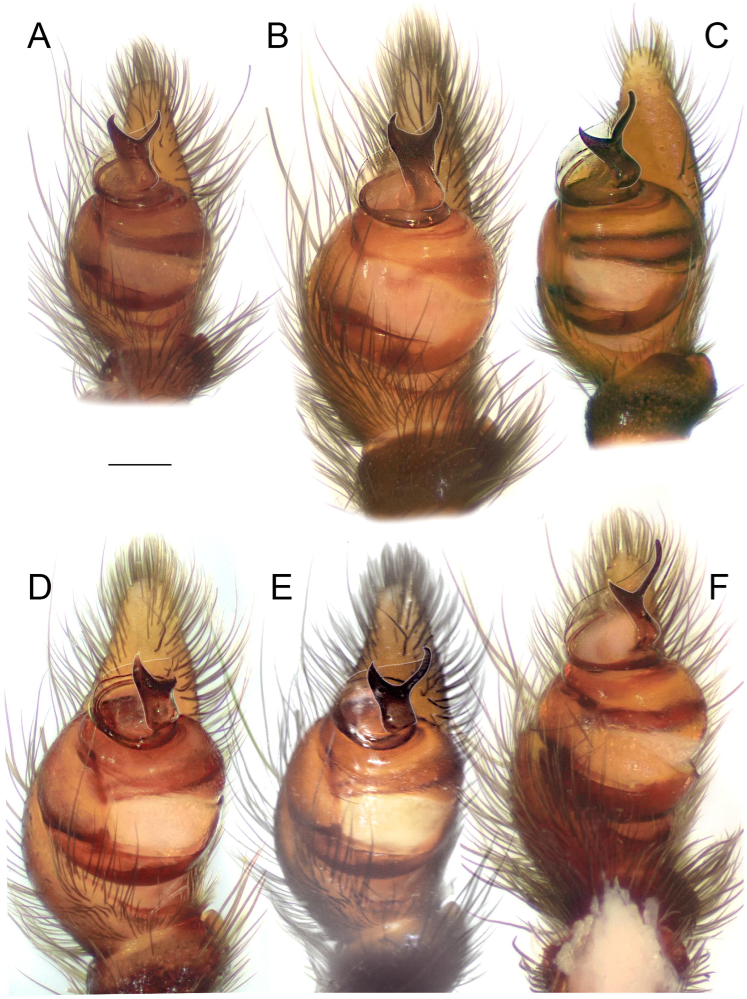 Diversity 15 00238 g007