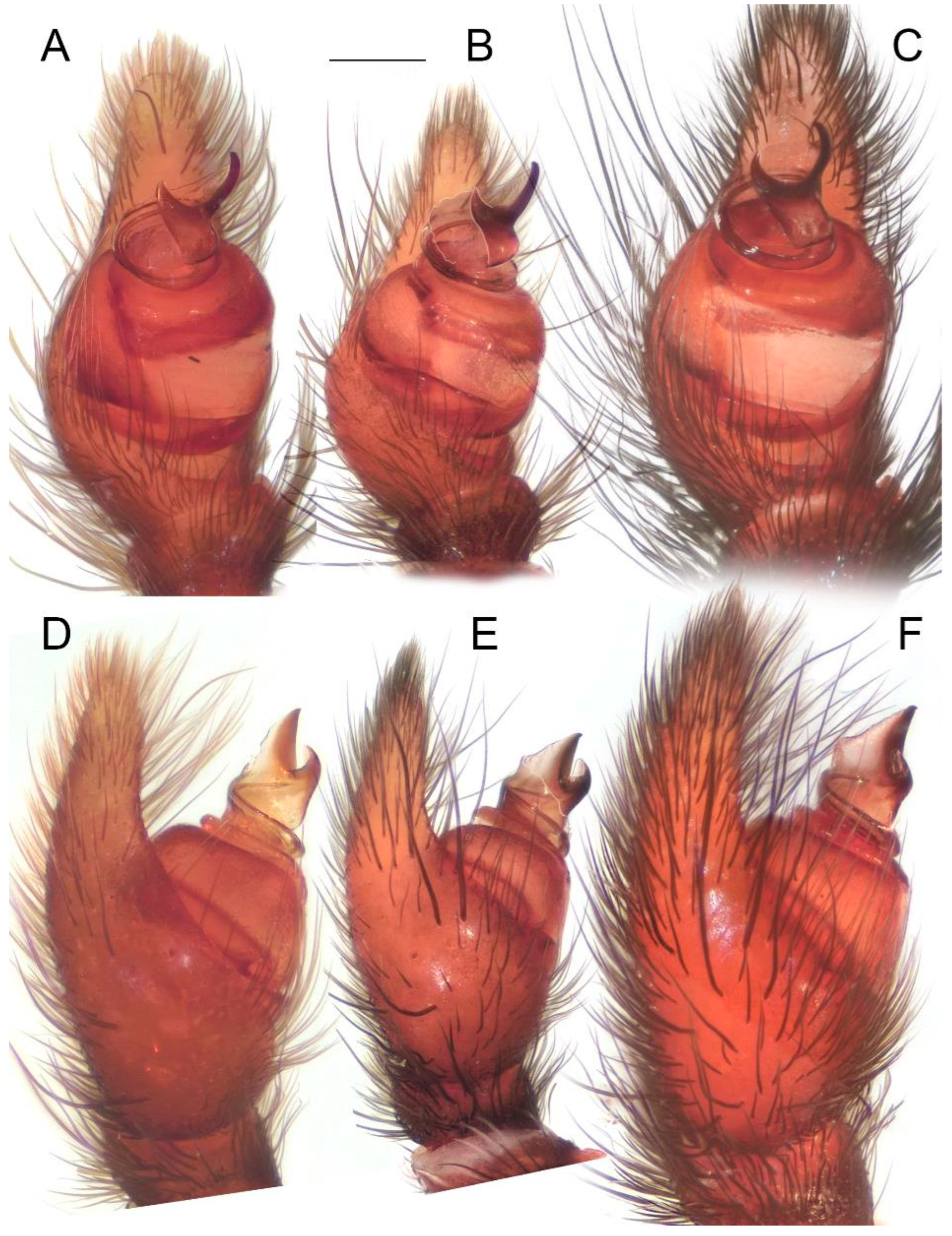 Diversity 15 00238 g013