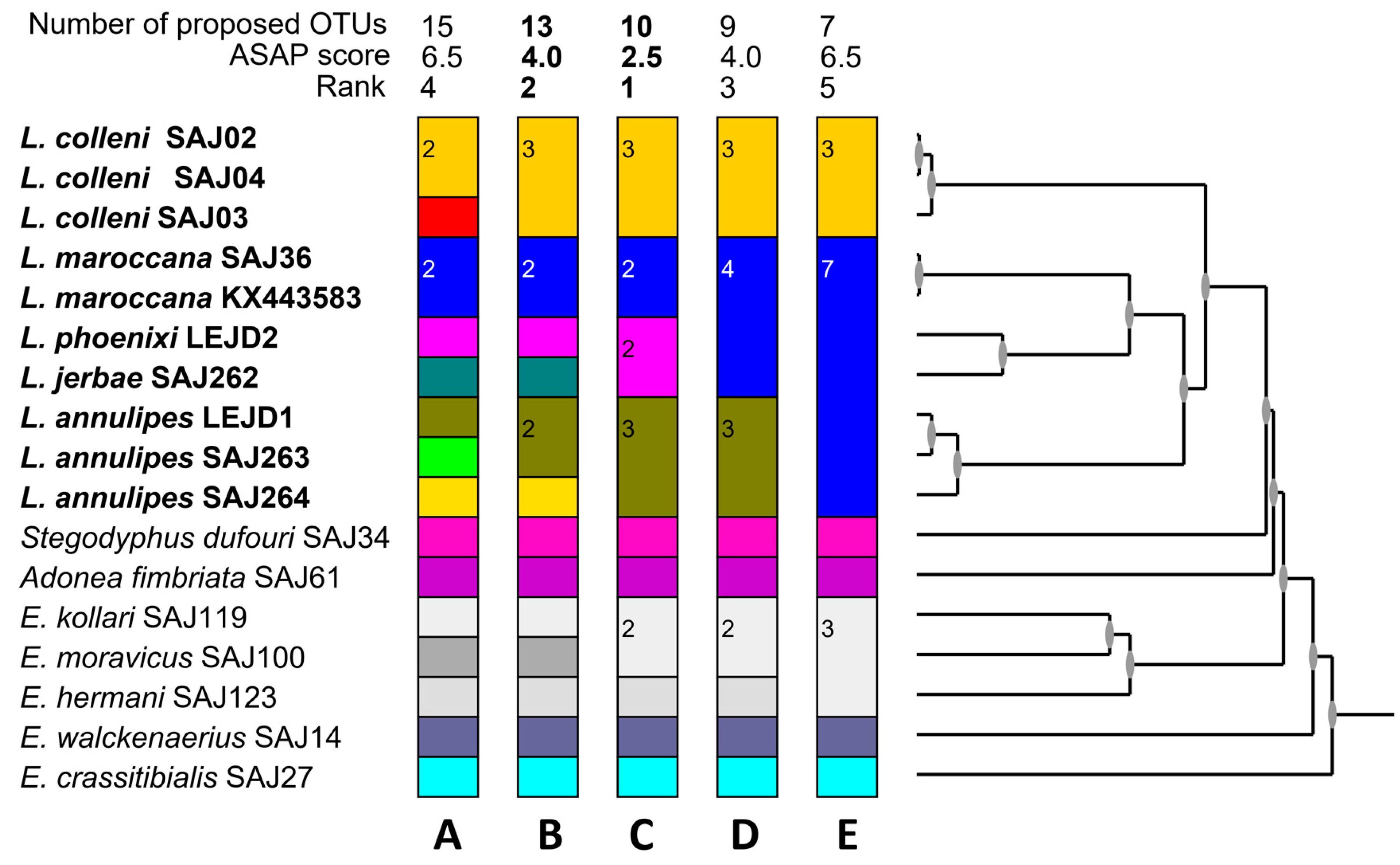 Diversity 15 00238 g016