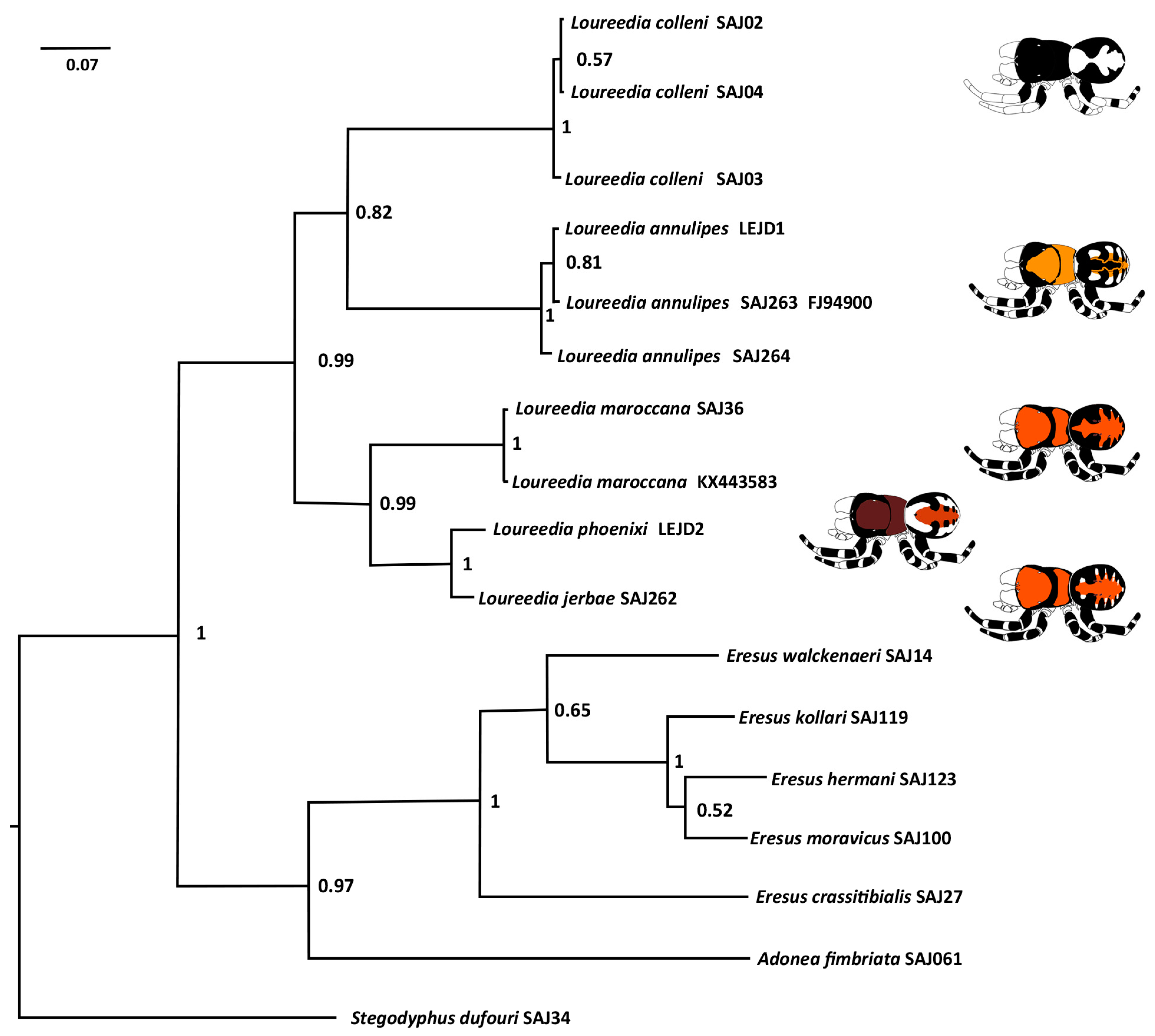 Diversity 15 00238 g017