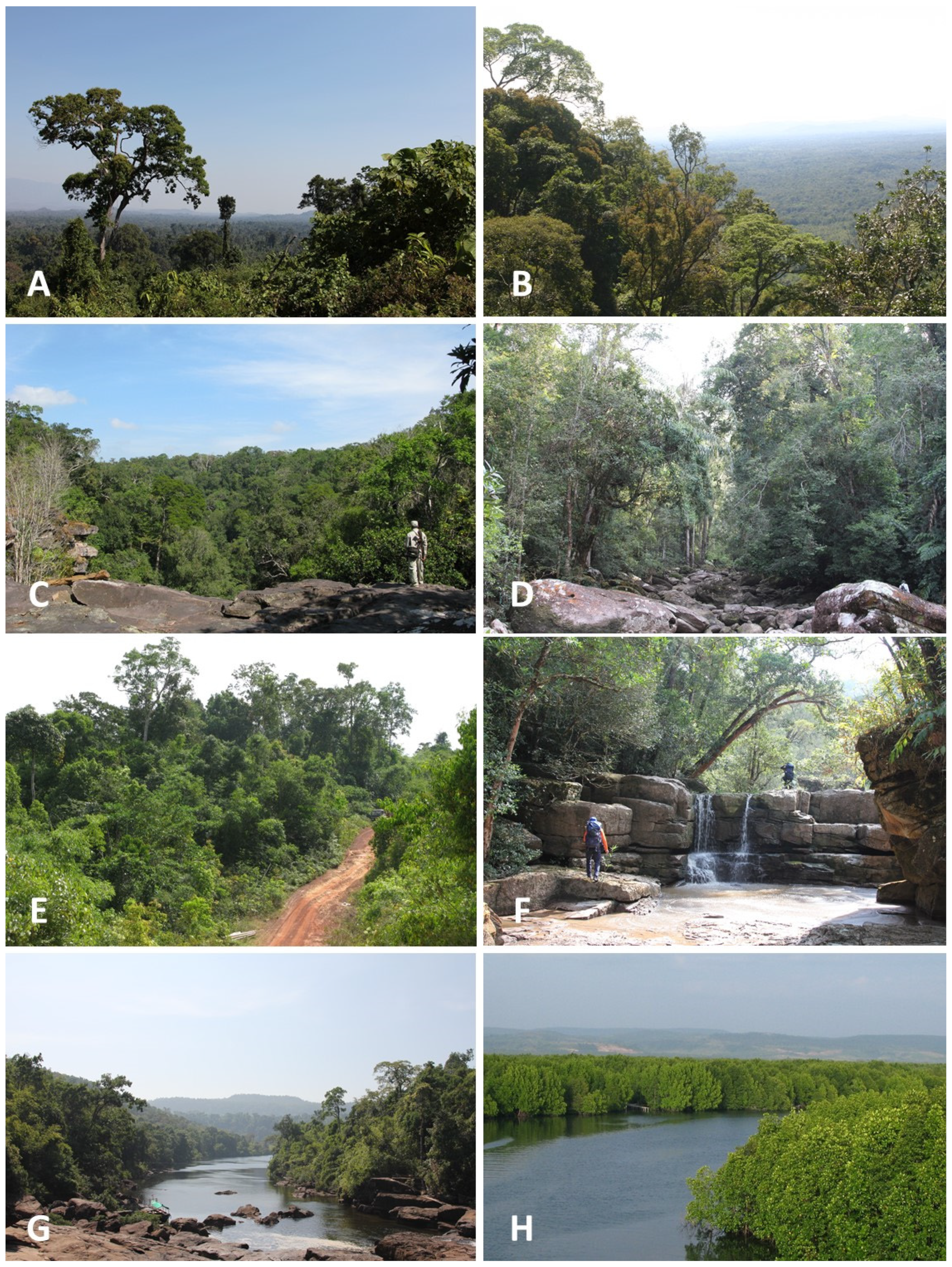 Diversity 15 00241 g002