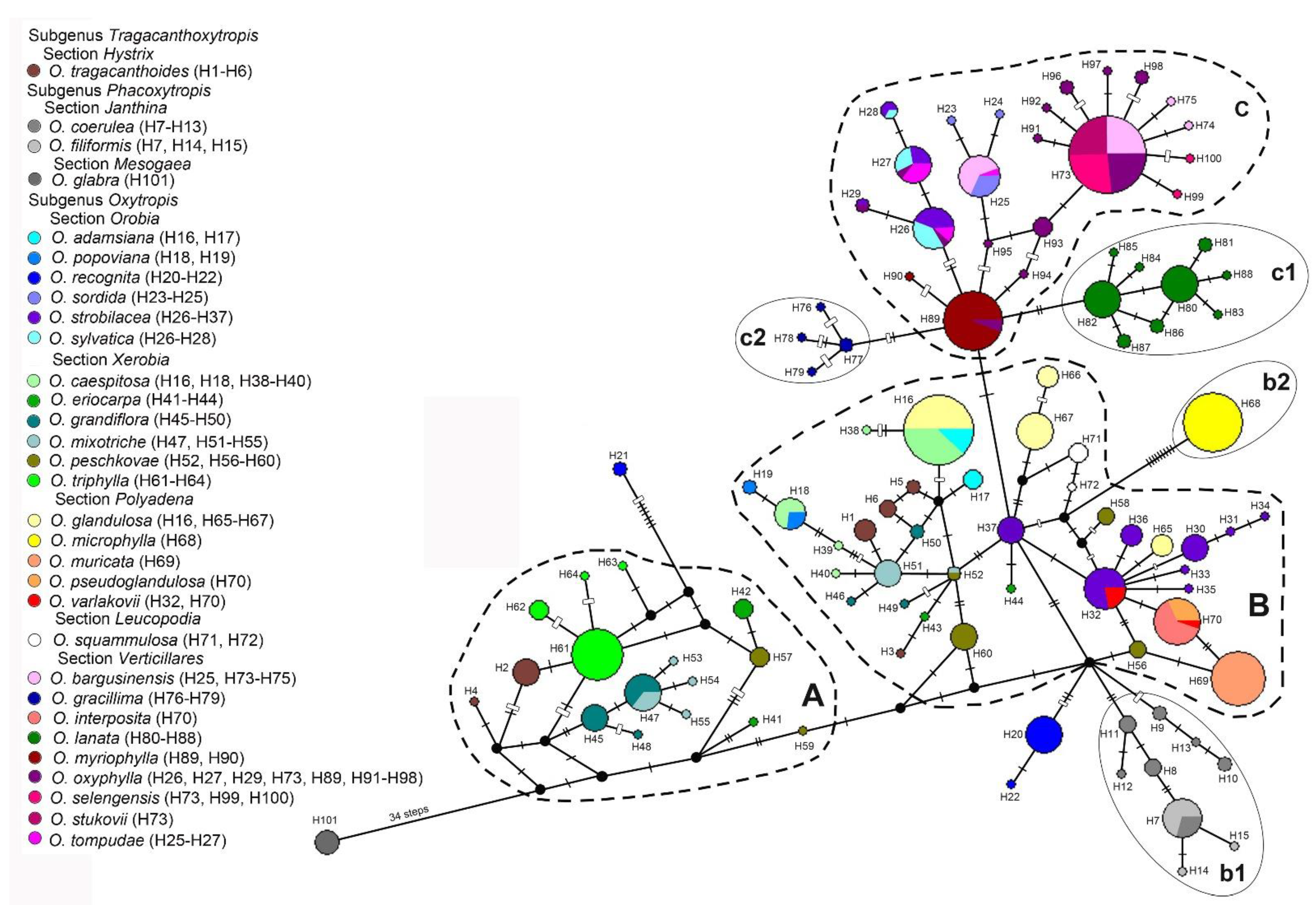 Diversity 15 00244 g003 Diversity 15 00244 g003