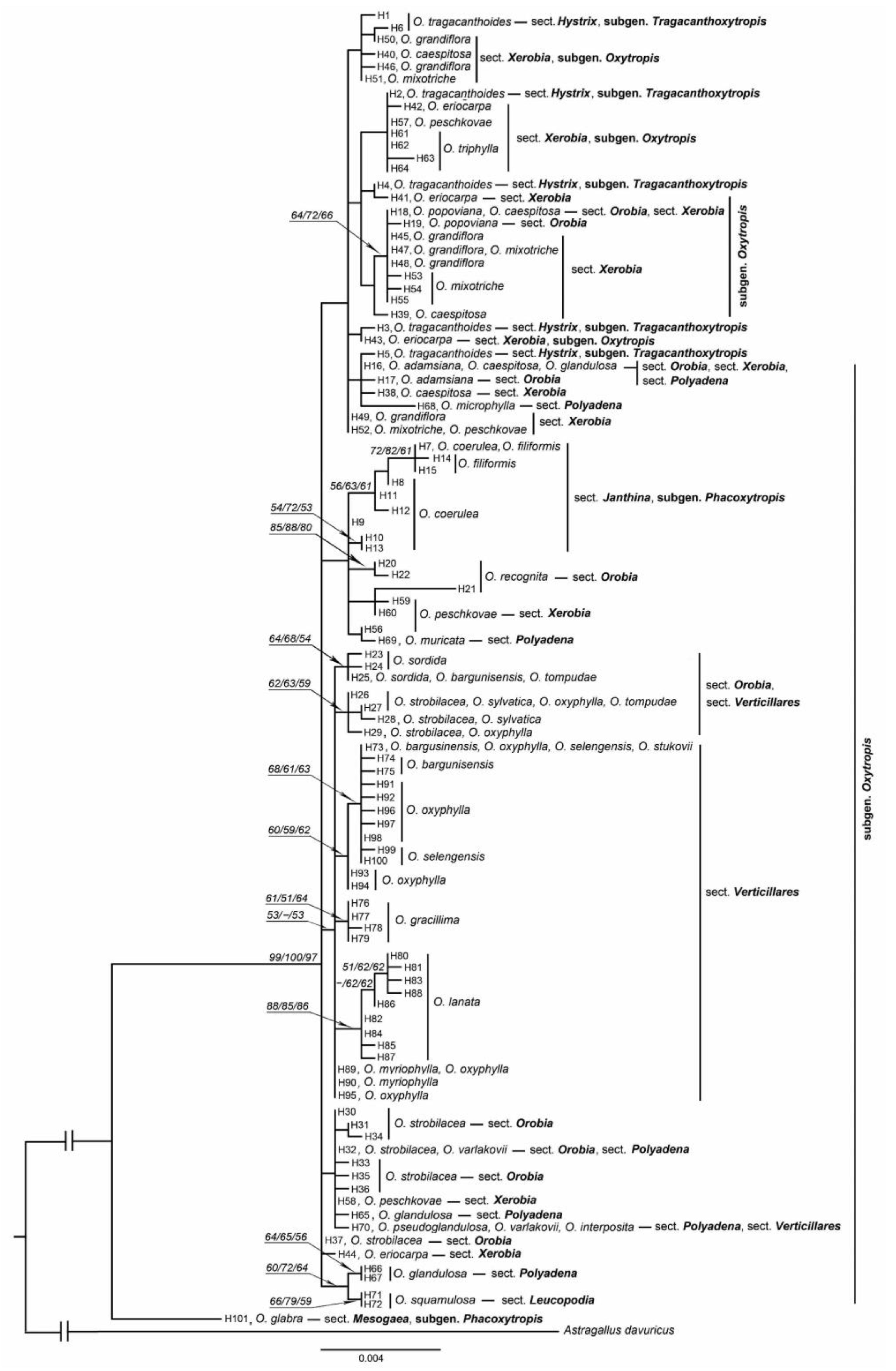 Diversity 15 00244 g004 Diversity 15 00244 g004