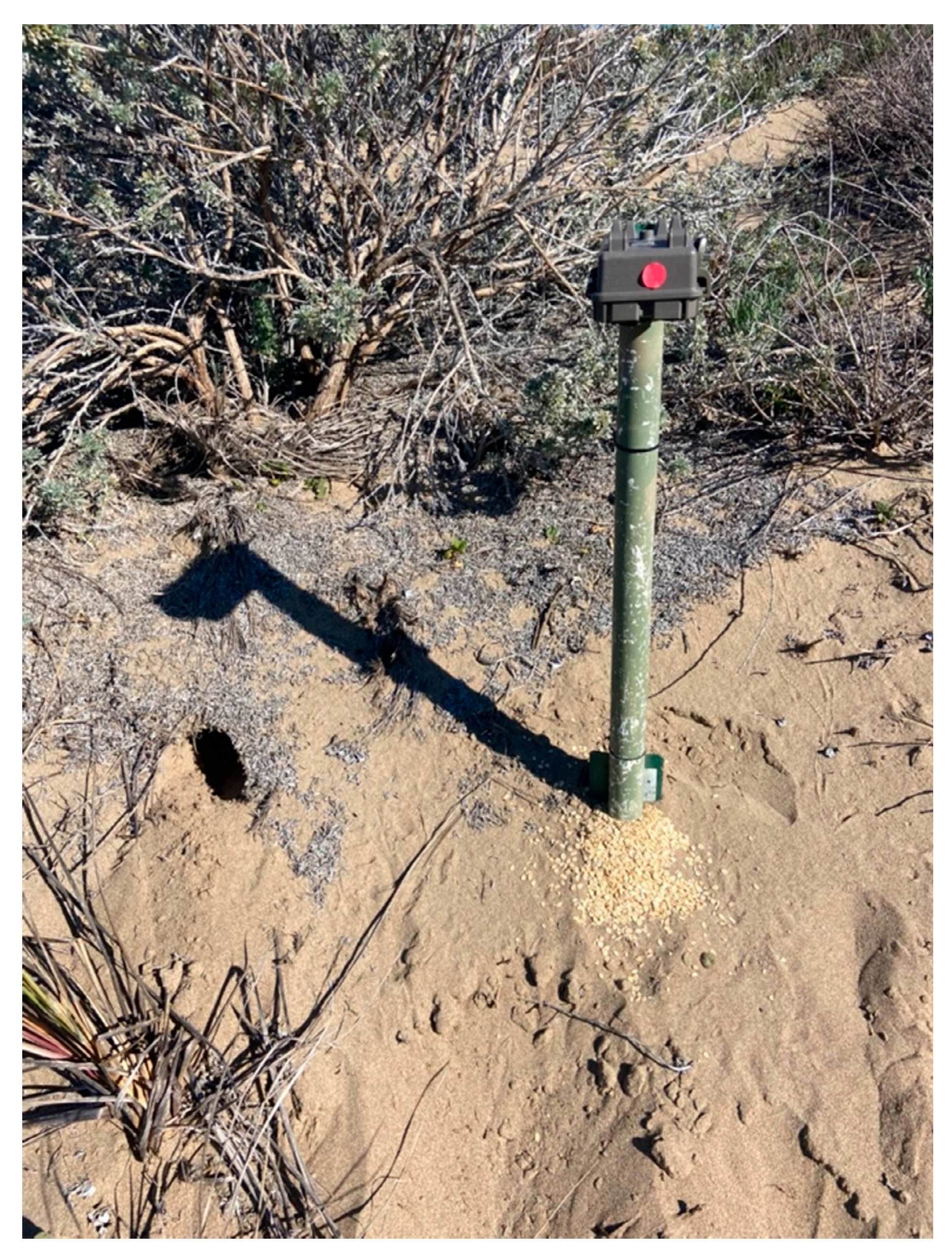 Diversity 15 00245 g003 550