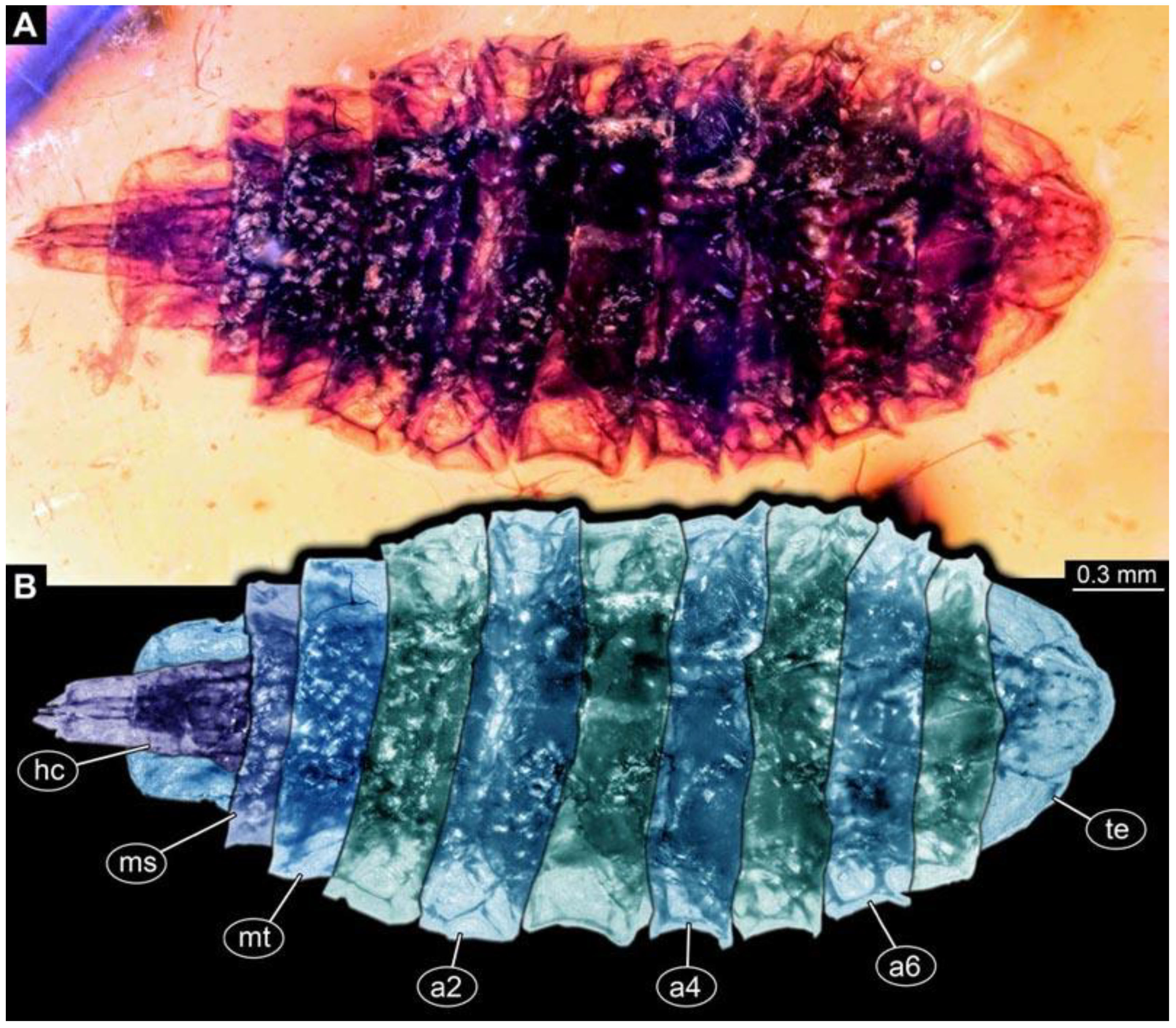 Diversity 15 00247 g020