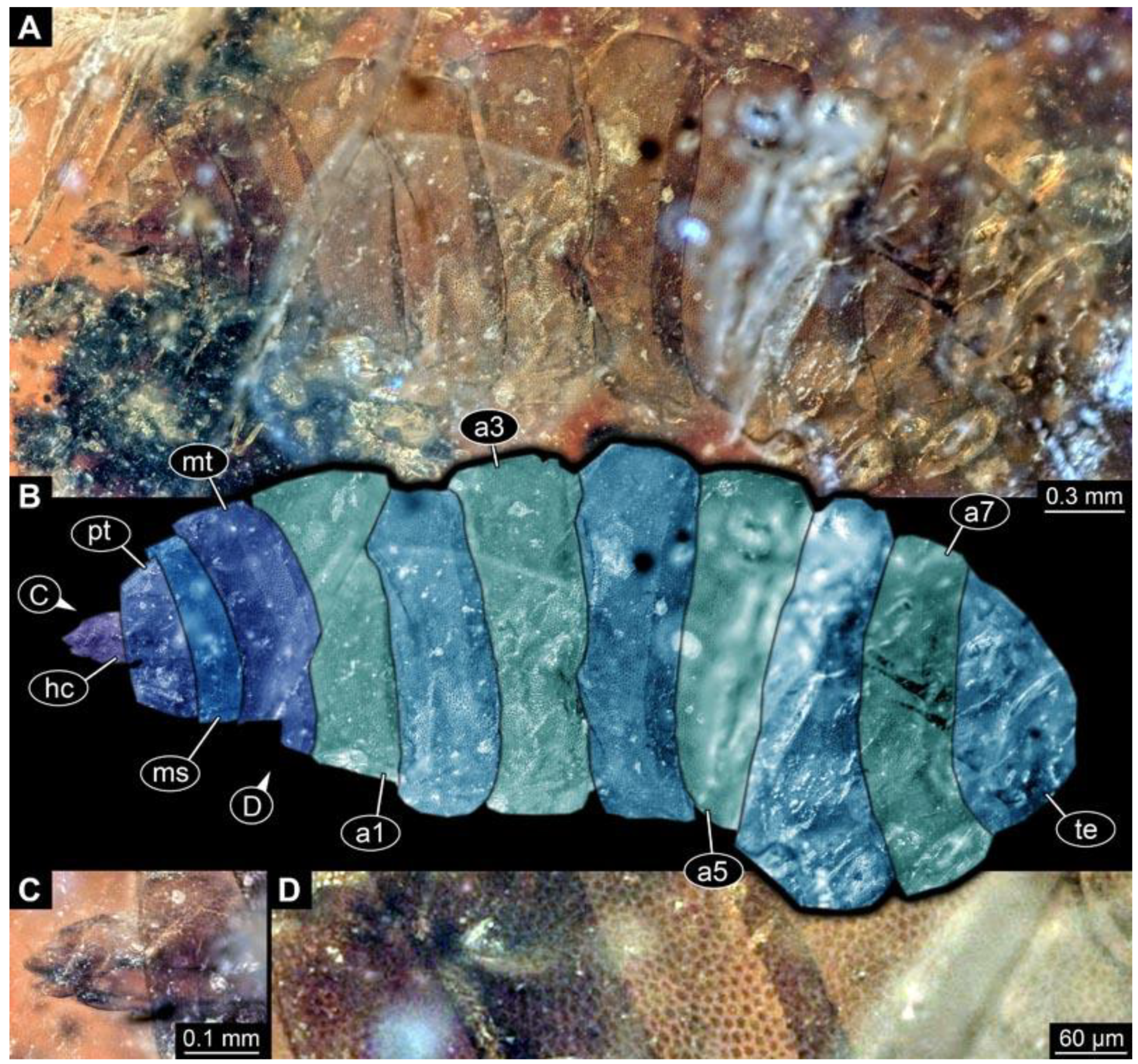 Diversity 15 00247 g022