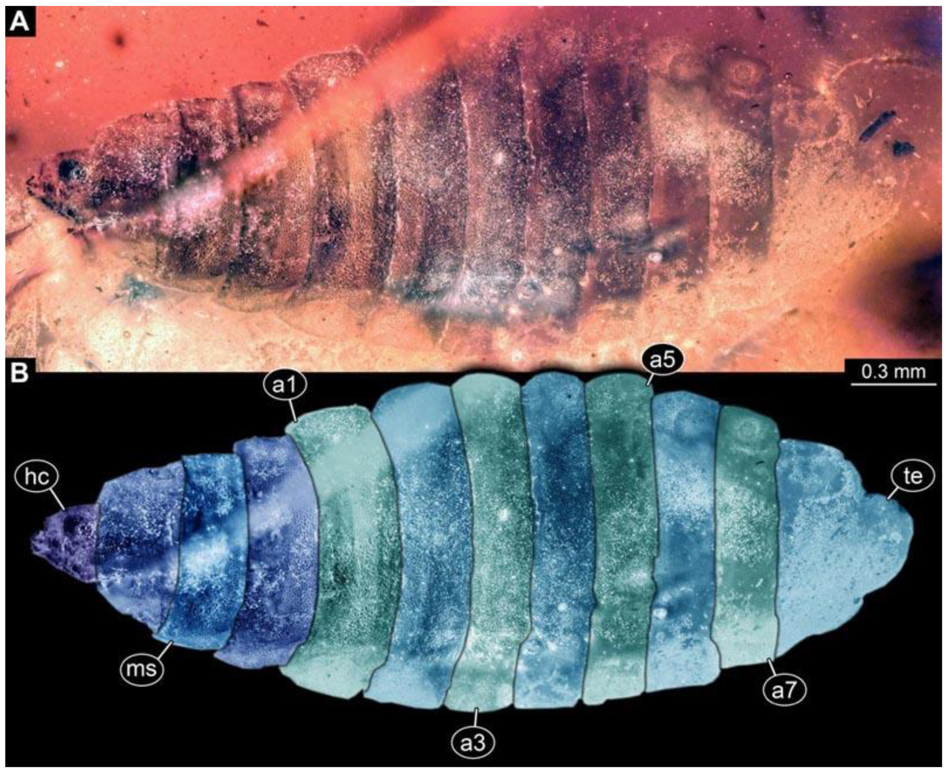 Diversity 15 00247 g023