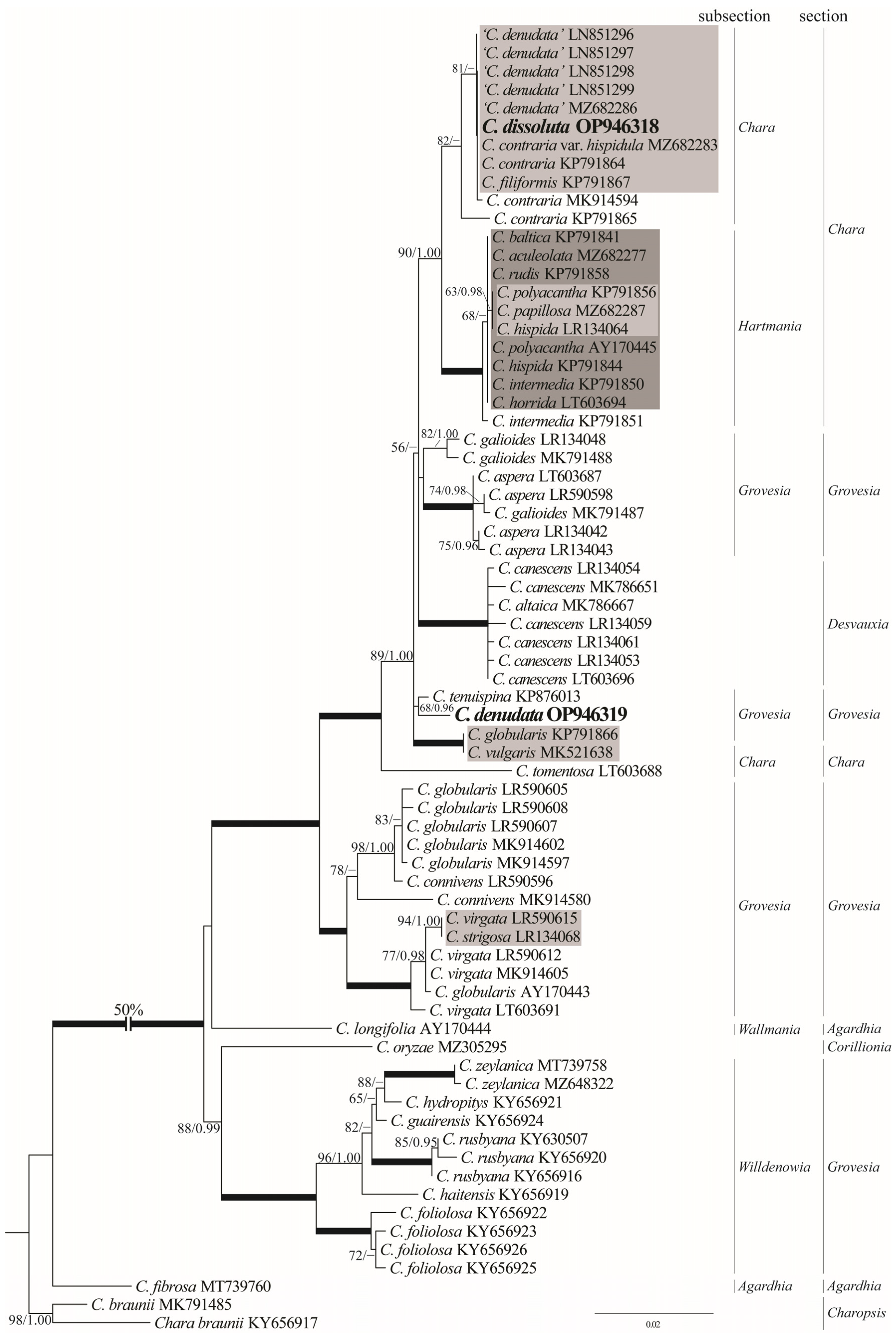 Diversity 15 00249 g007 Diversity 15 00249 g007