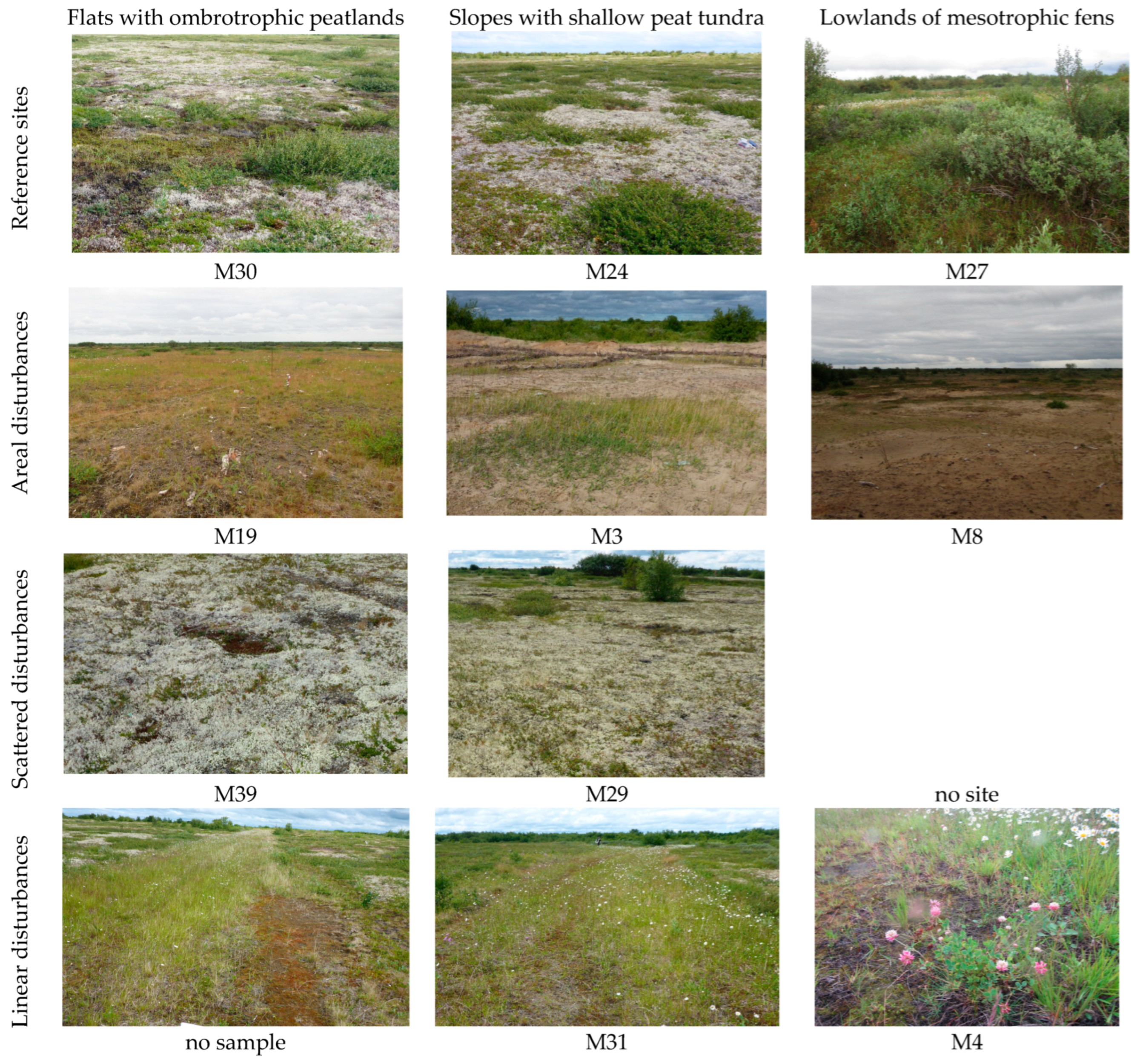 Diversity 15 00251 g002 Diversity 15 00251 g002