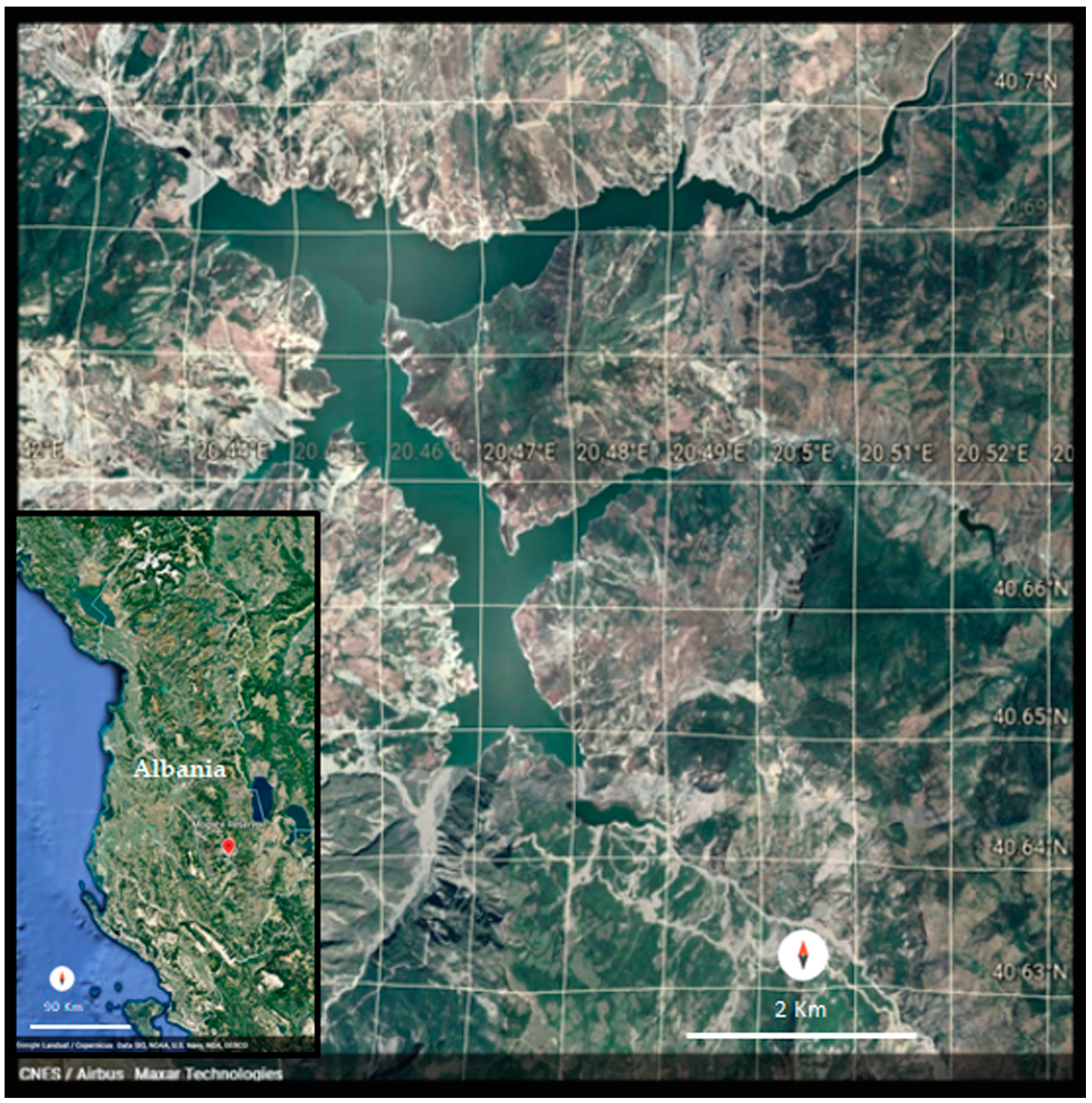 Diversity 15 00257 g001 Diversity 15 00257 g001