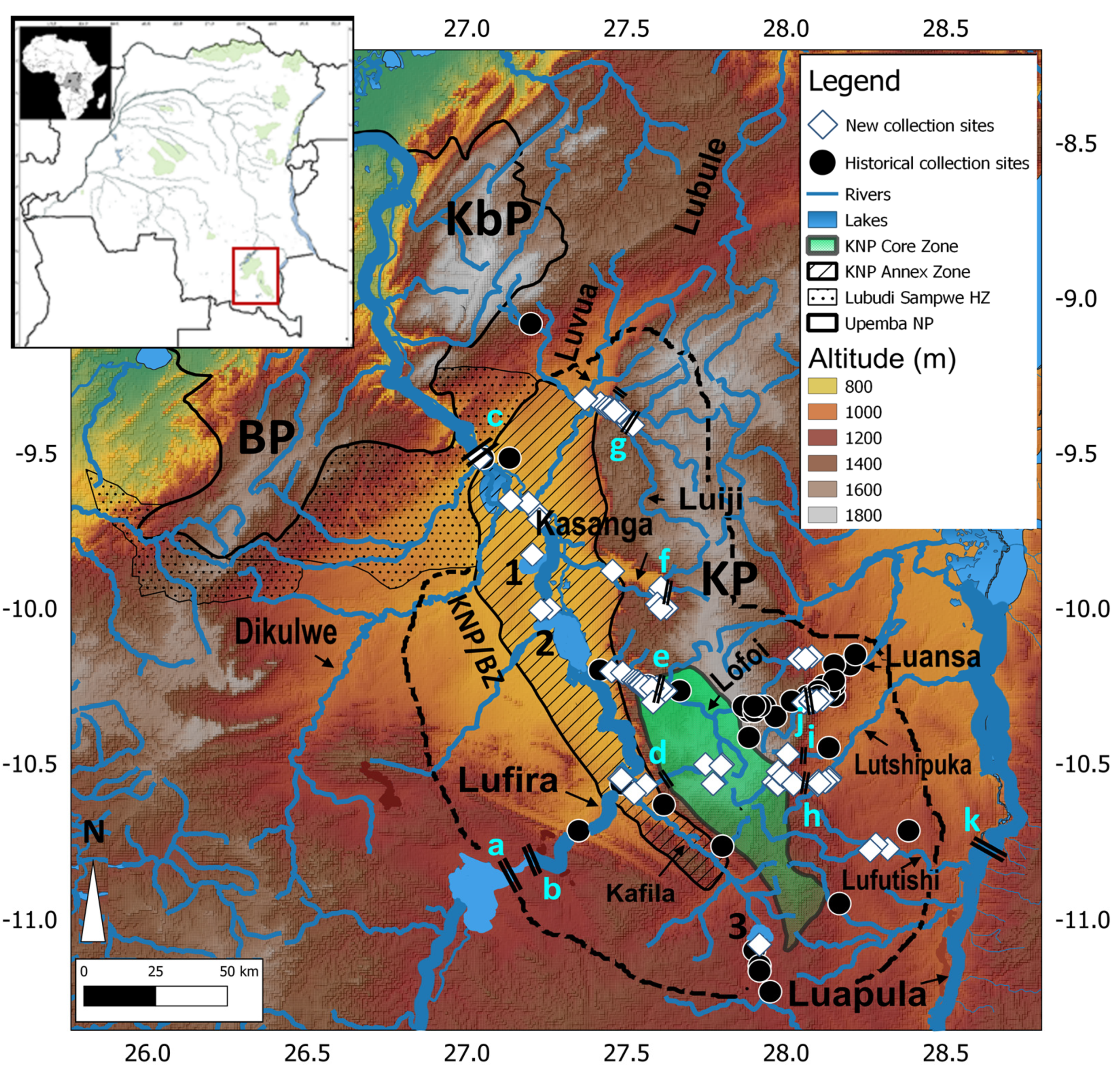 Diversity 15 00259 g001 550