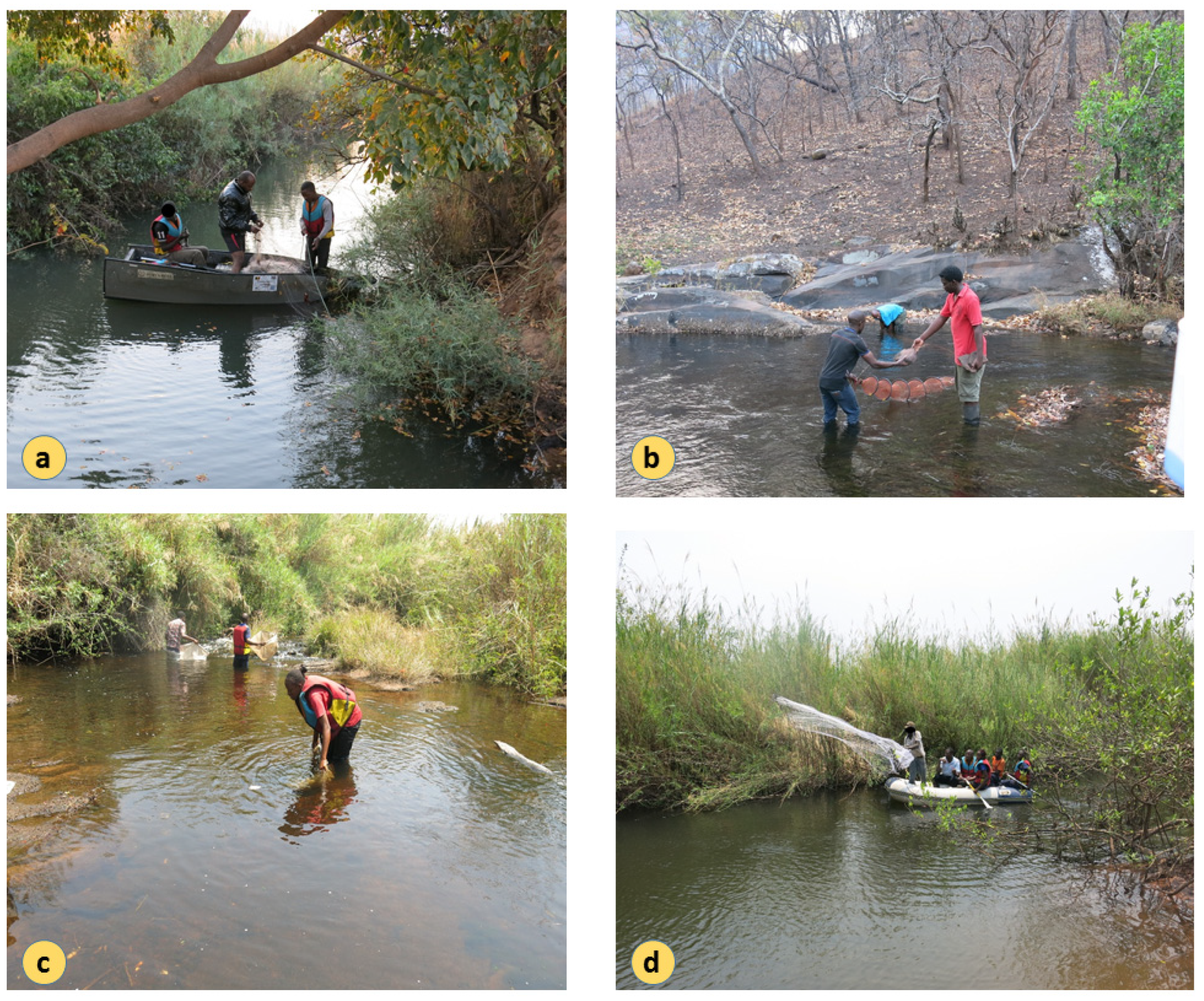 Diversity 15 00259 g0a1 550