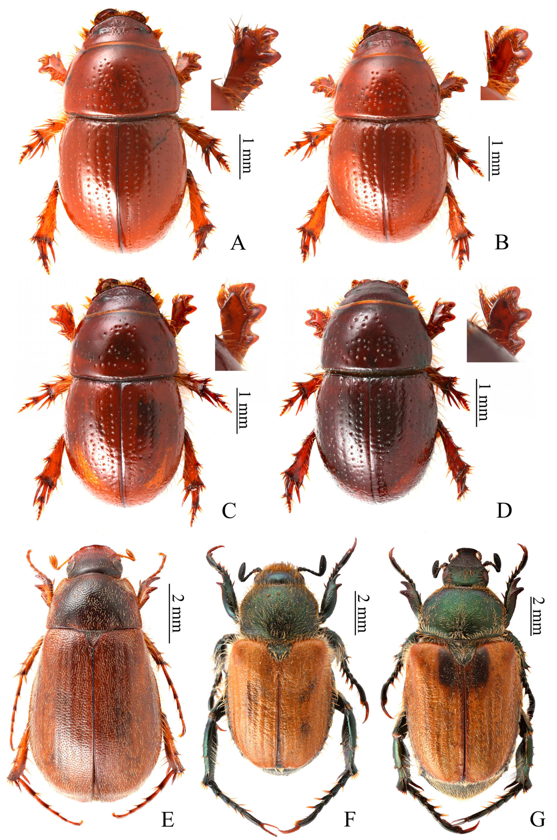 Diversity 15 00264 g007