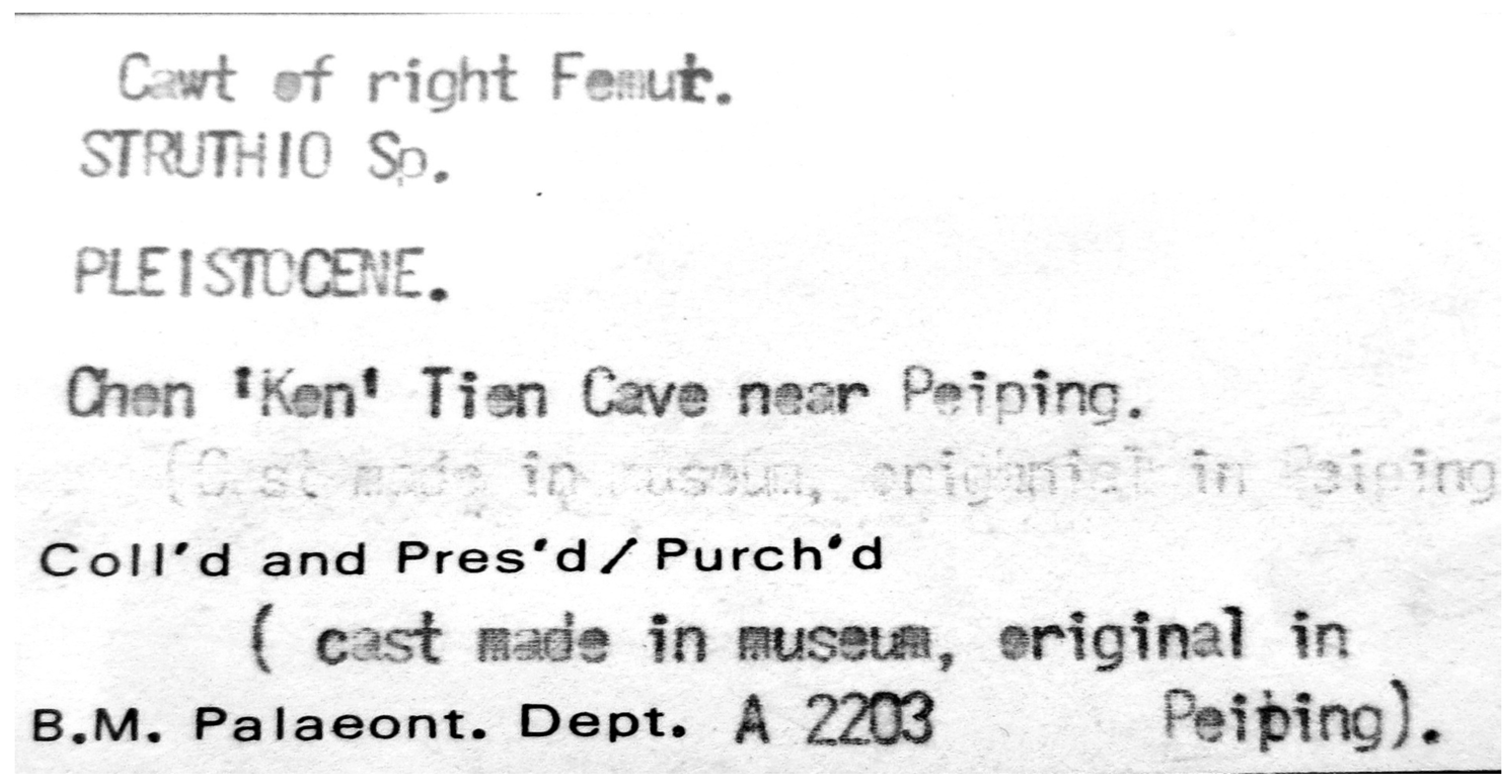 Diversity 15 00265 g001 550