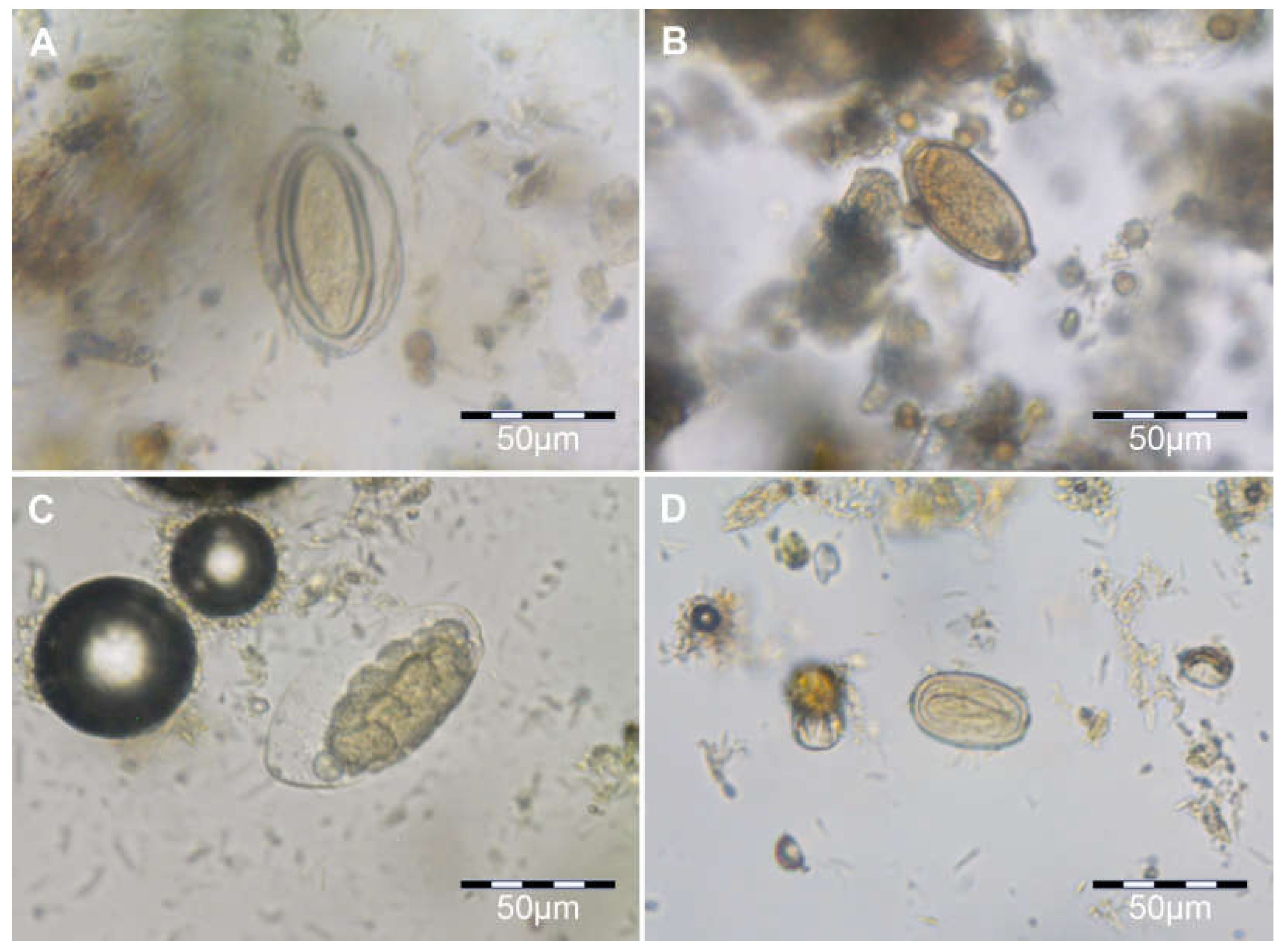 Diversity 15 00266 g001 Diversity 15 00266 g001