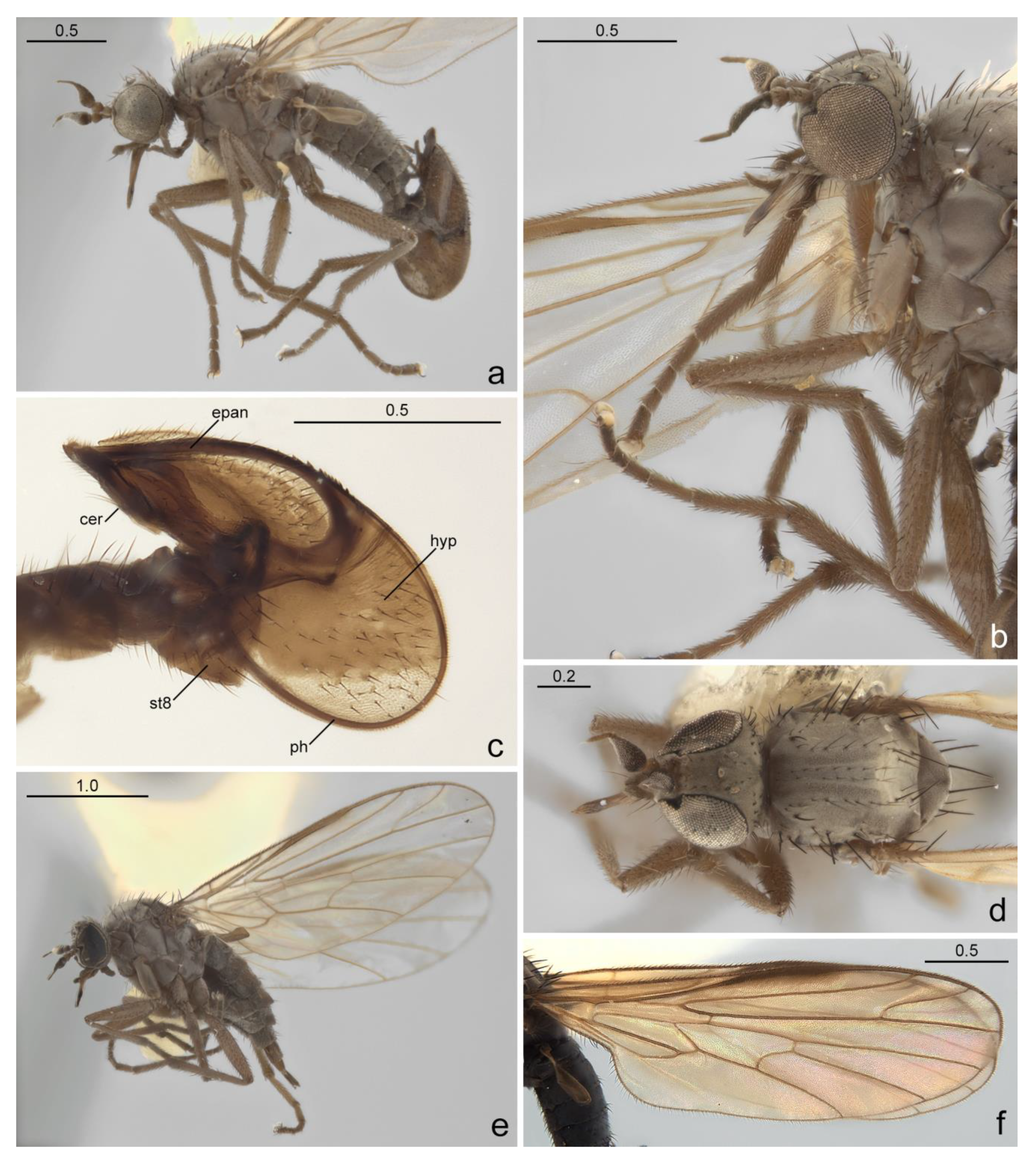 Diversity 15 00267 g002