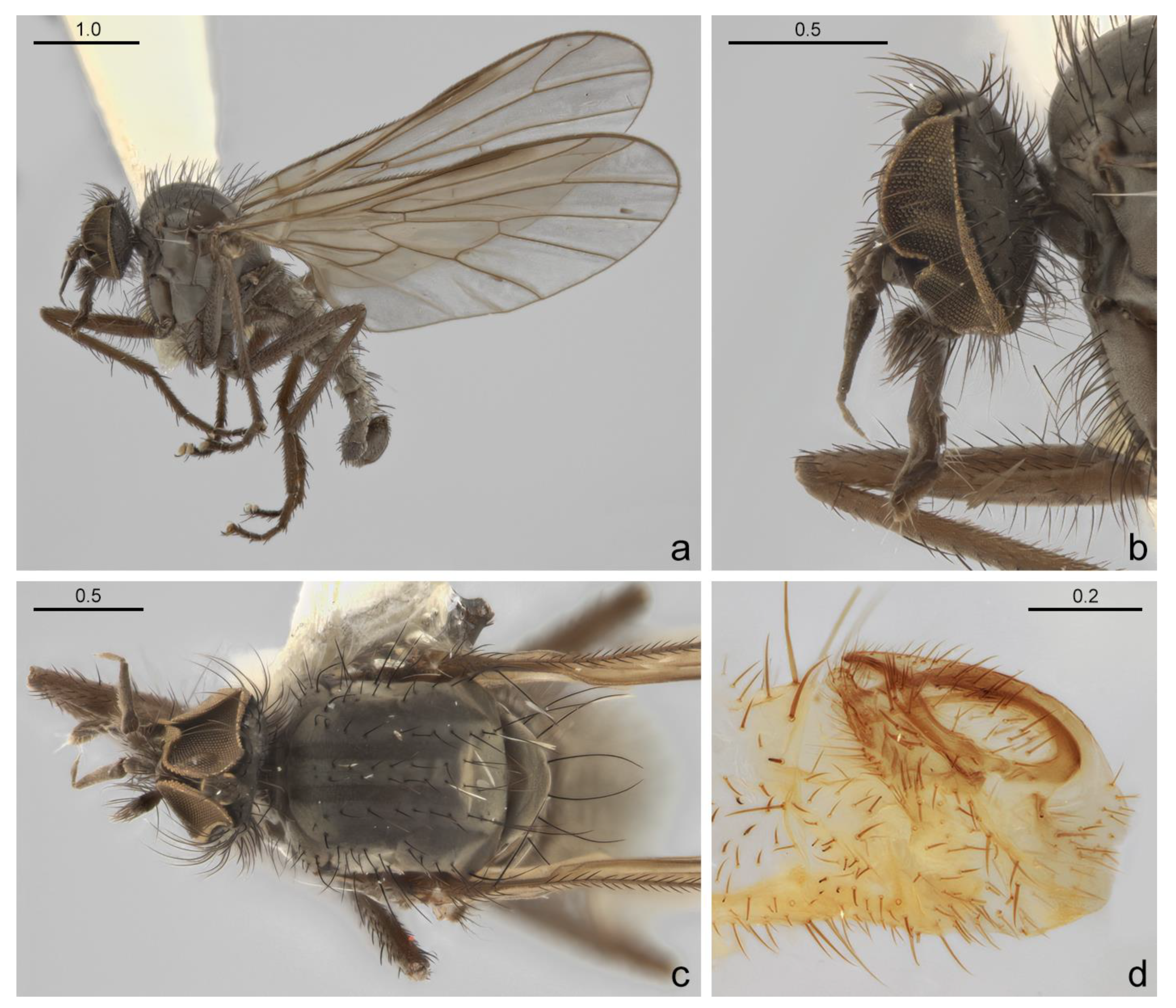 Diversity 15 00267 g003