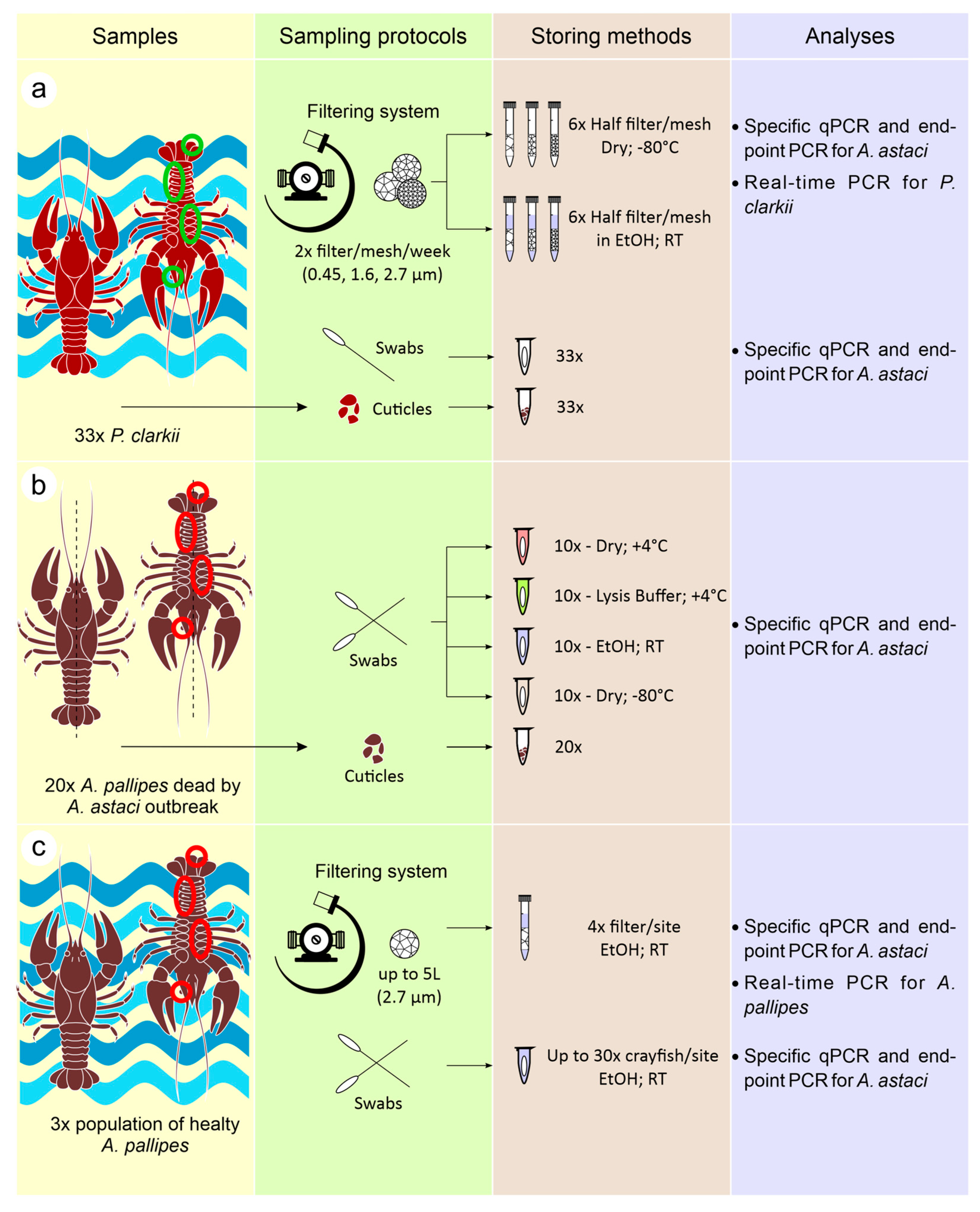 Diversity 15 00279 g001 Diversity 15 00279 g001