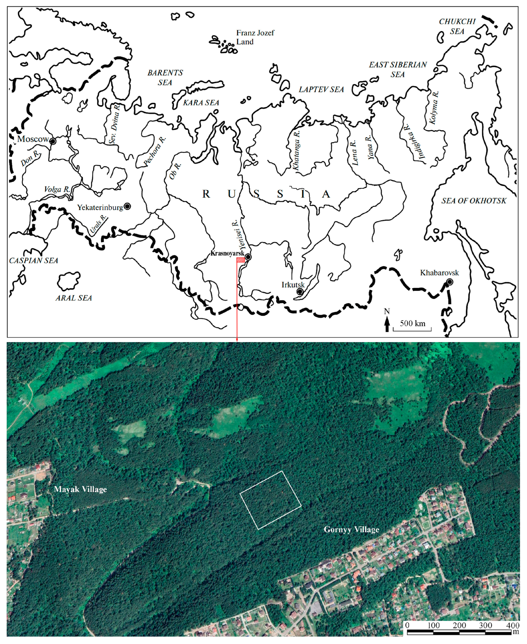 Diversity 15 00281 g001