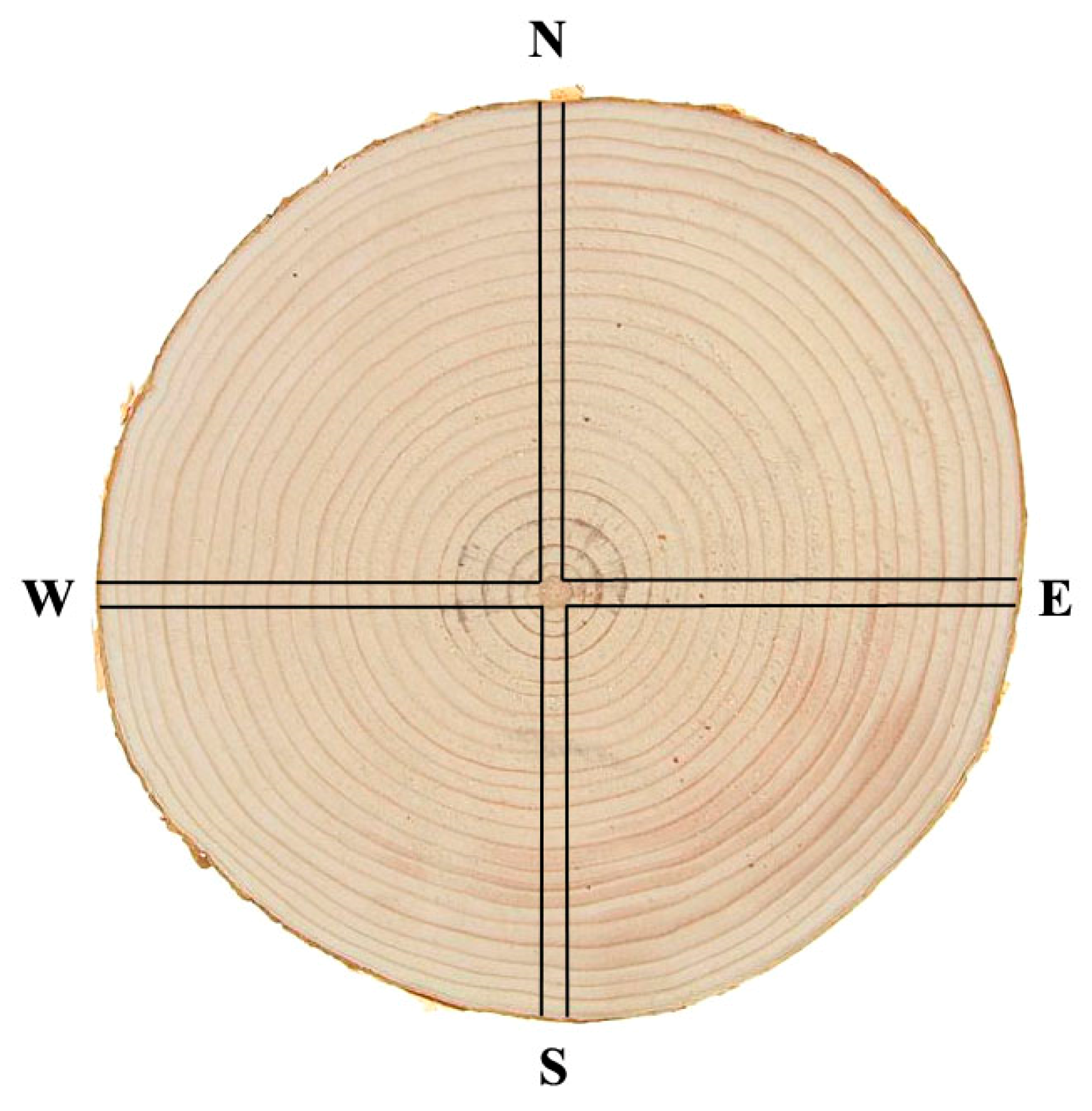 Diversity 15 00281 g002