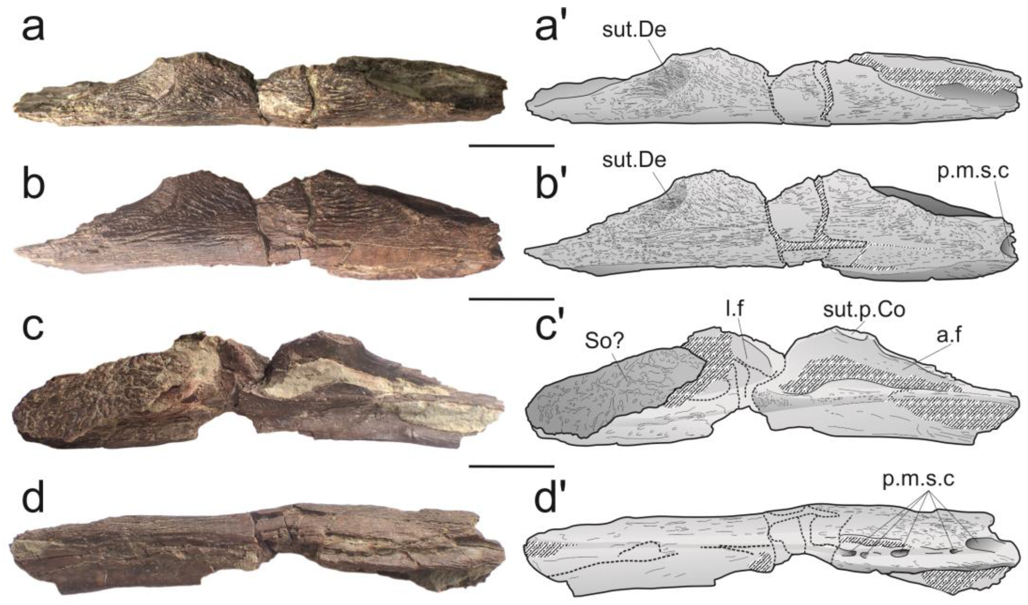 Diversity 15 00286 g002 Diversity 15 00286 g002
