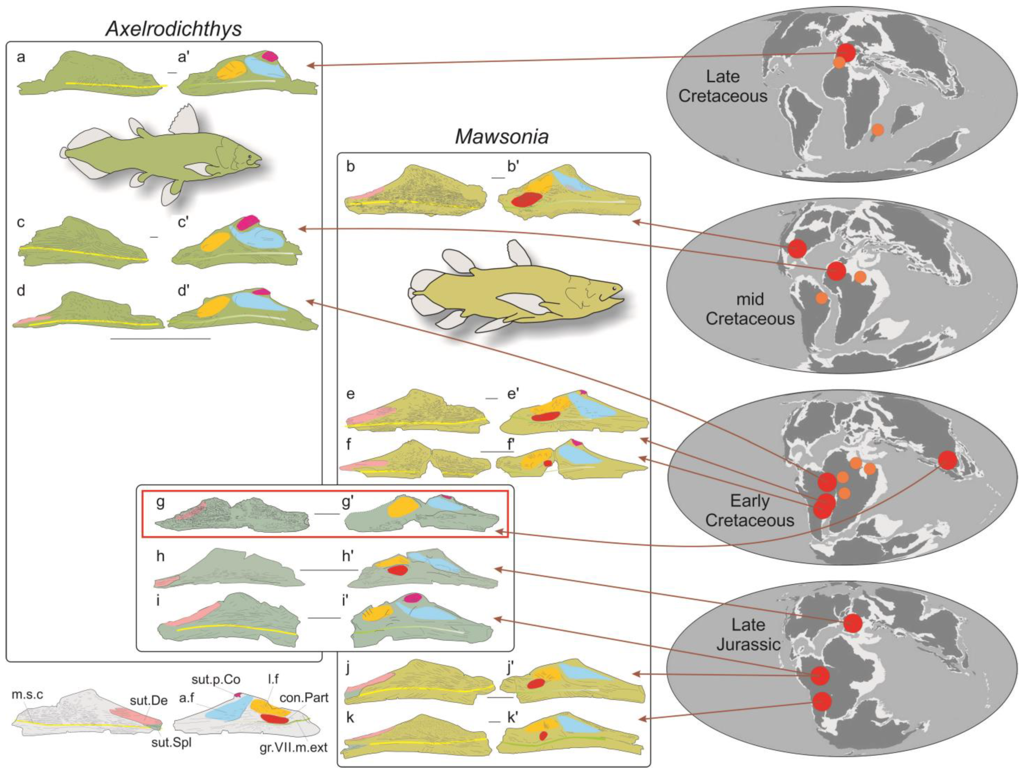 Diversity 15 00286 g003 Diversity 15 00286 g003