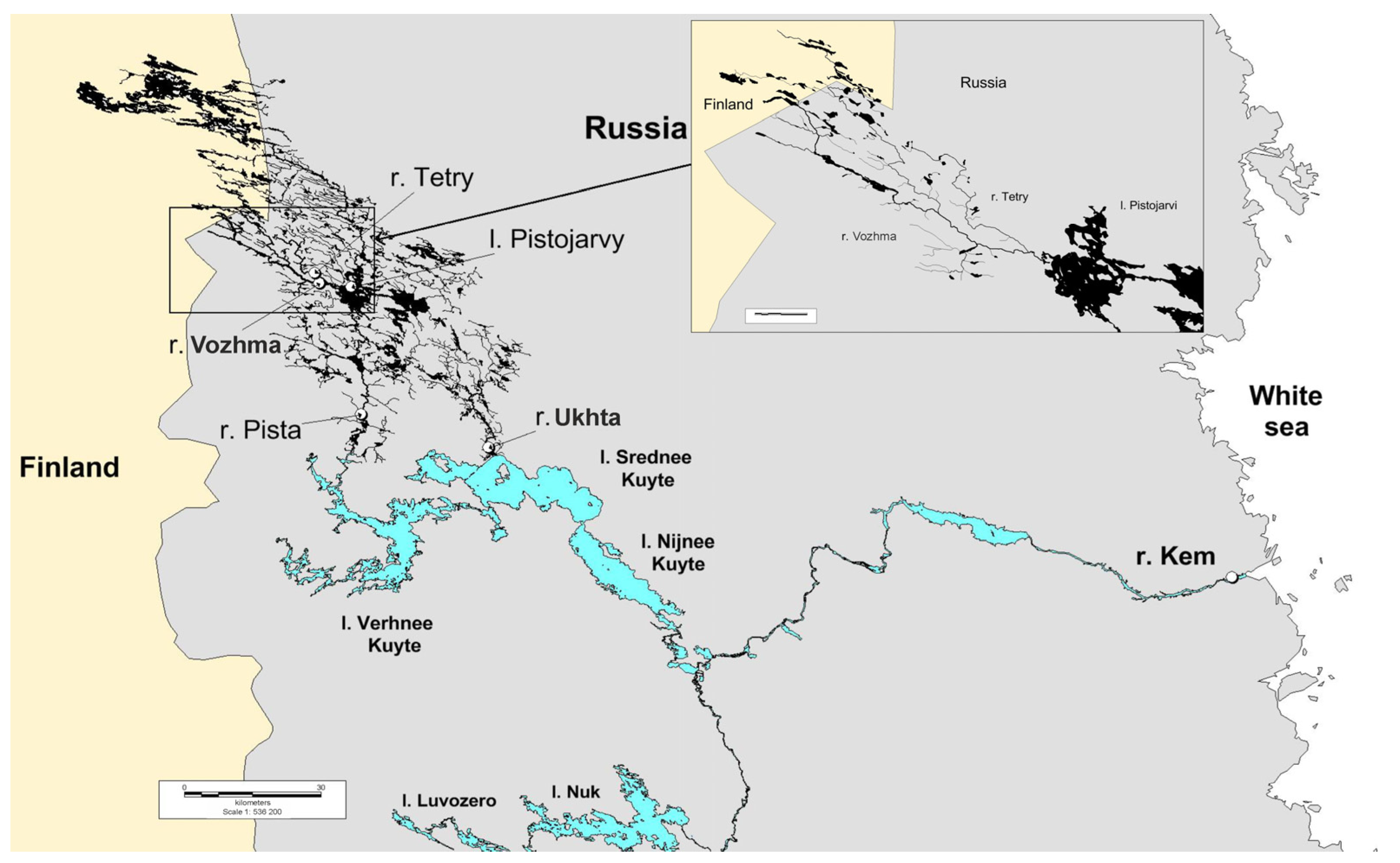 Diversity 15 00293 g001