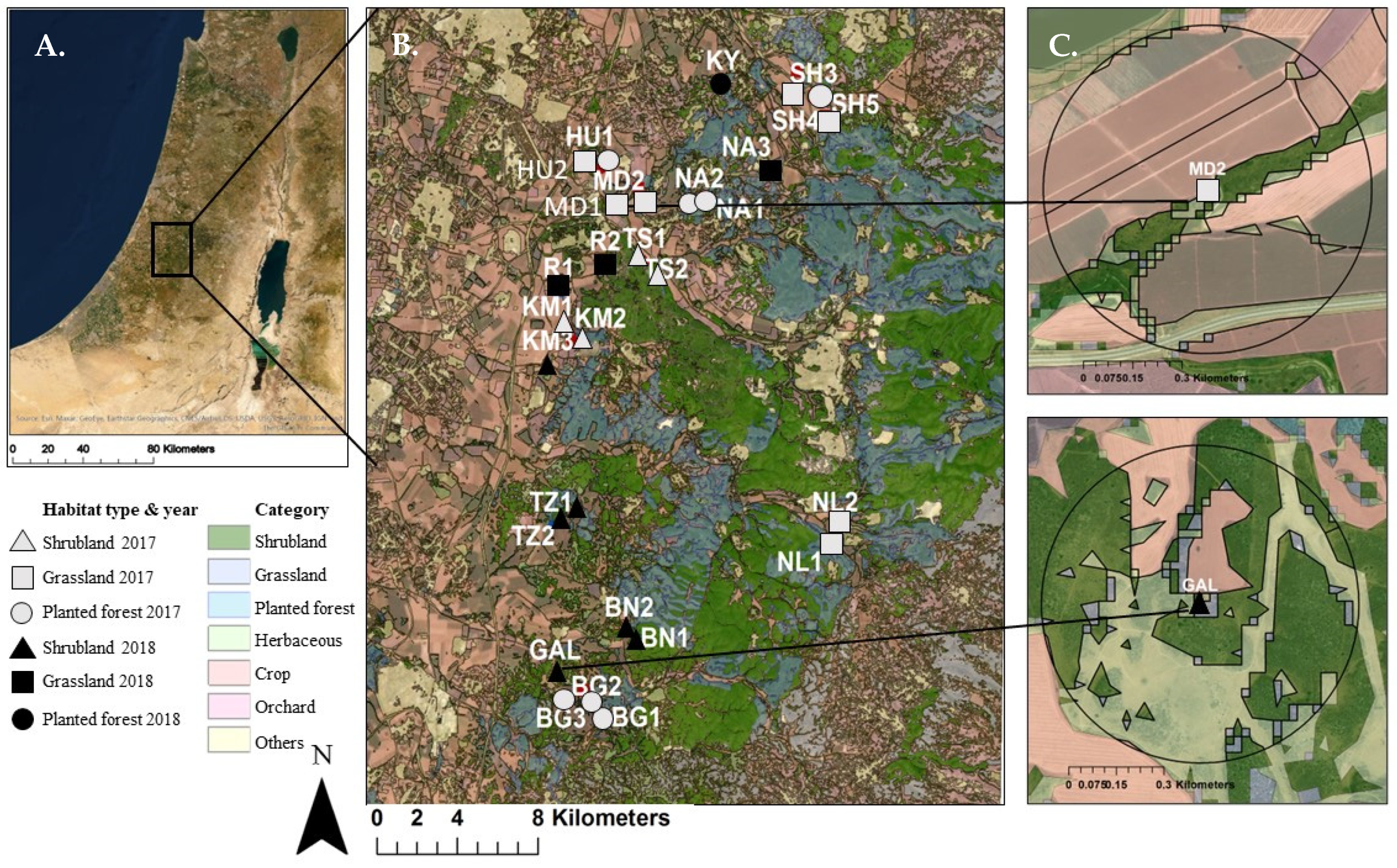 Diversity 15 00294 g002 Diversity 15 00294 g002