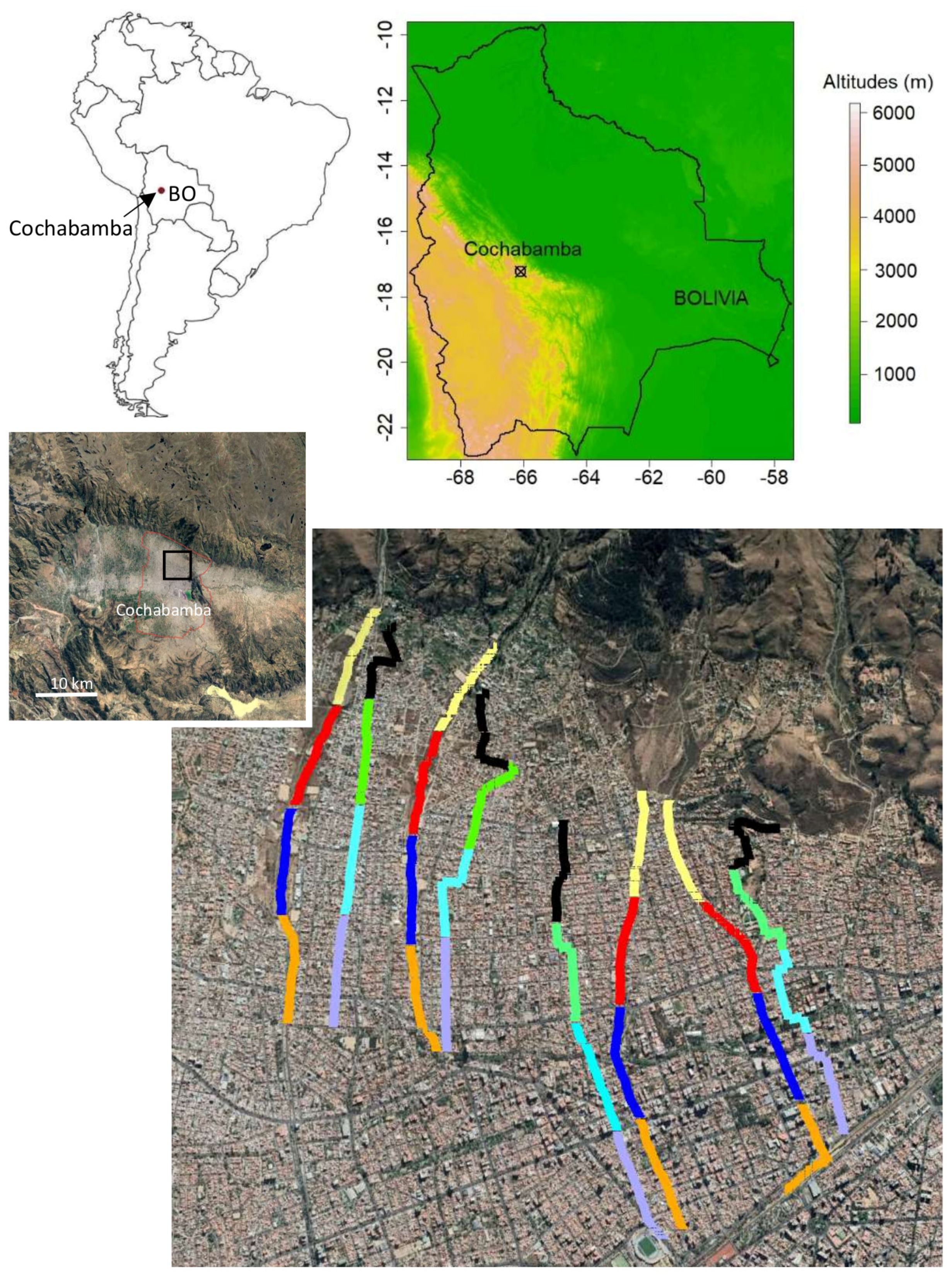Diversity 15 00302 g001 Diversity 15 00302 g001