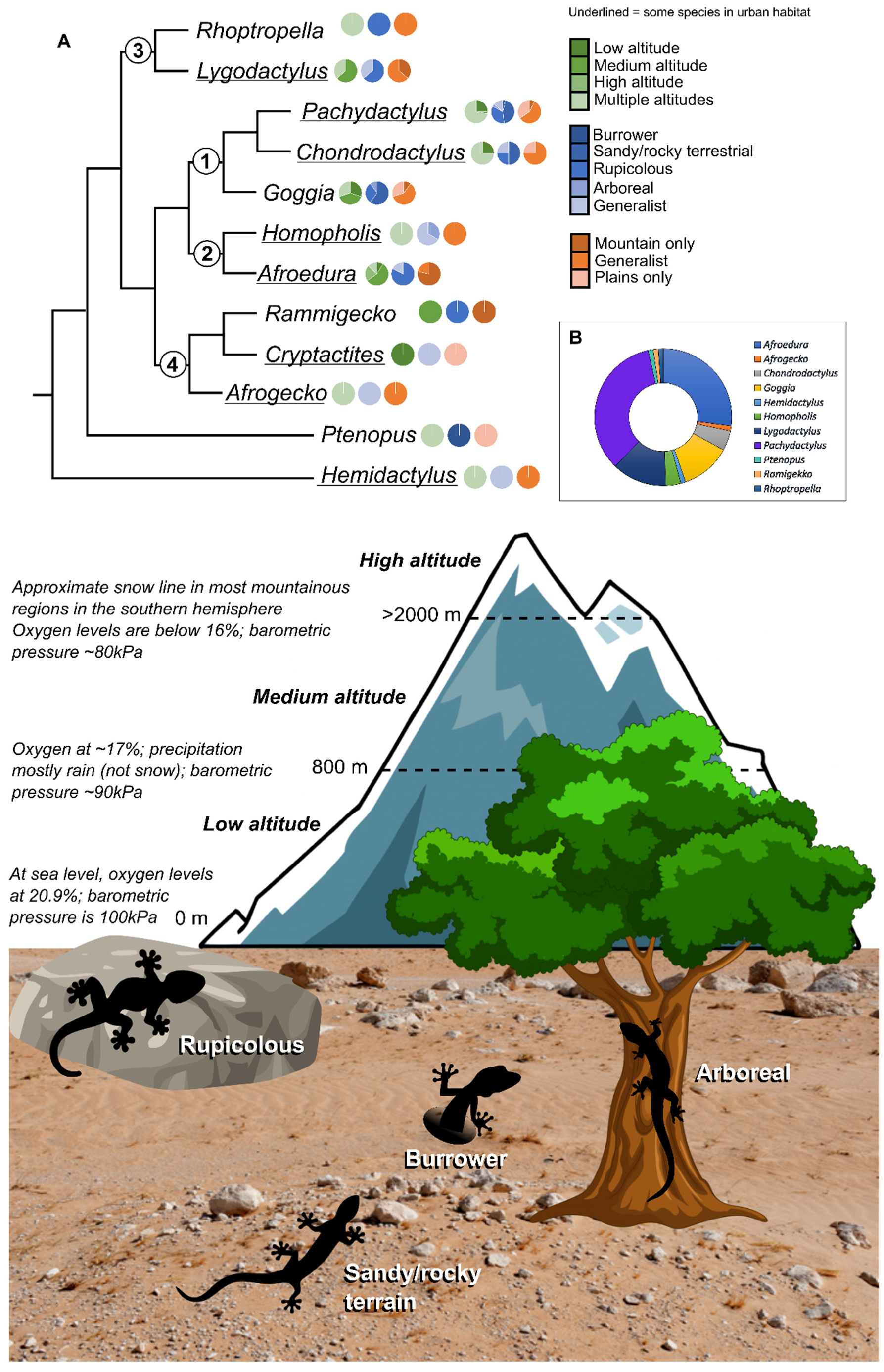 Diversity 15 00306 g001 Diversity 15 00306 g001