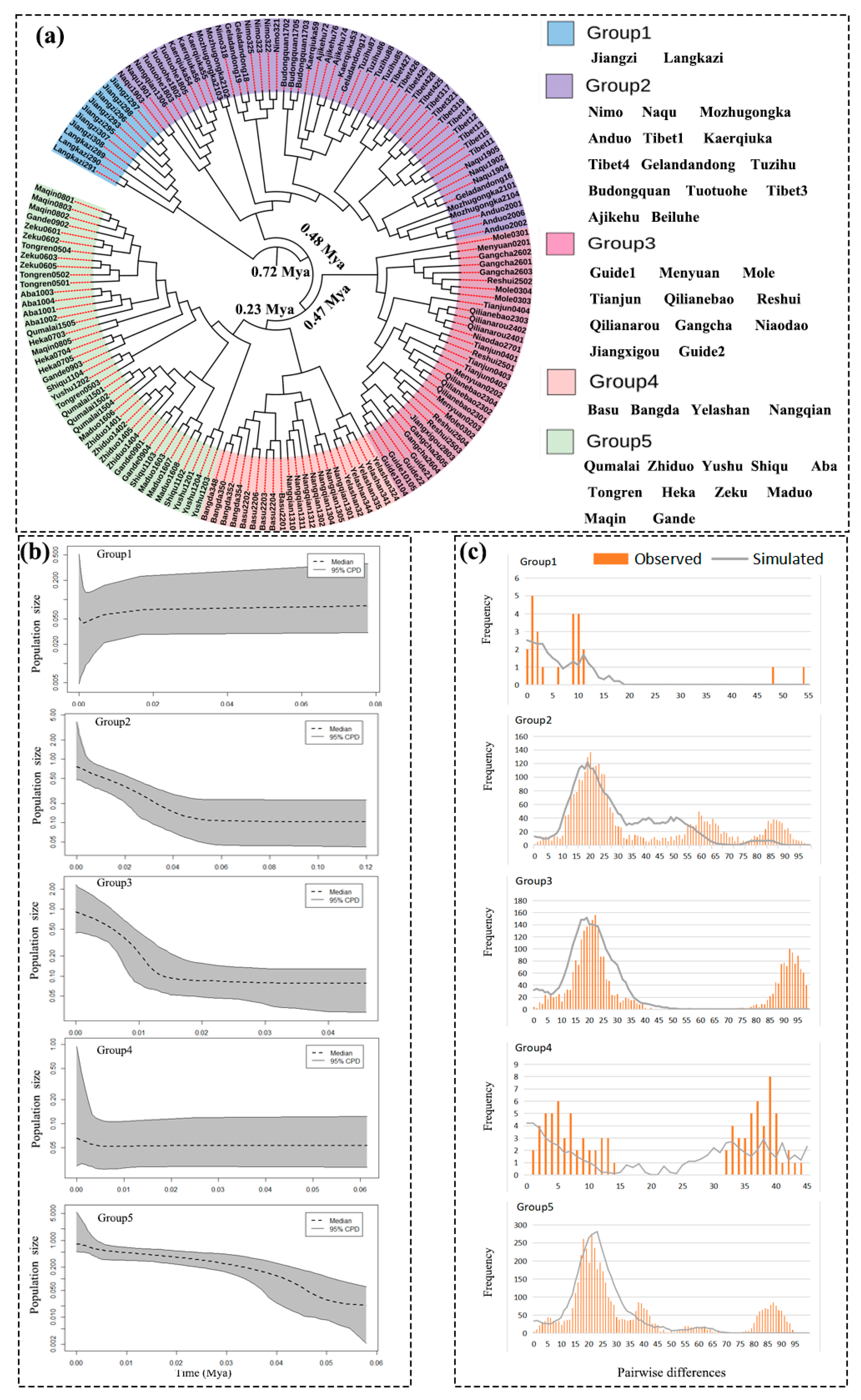 Diversity 15 00307 g004