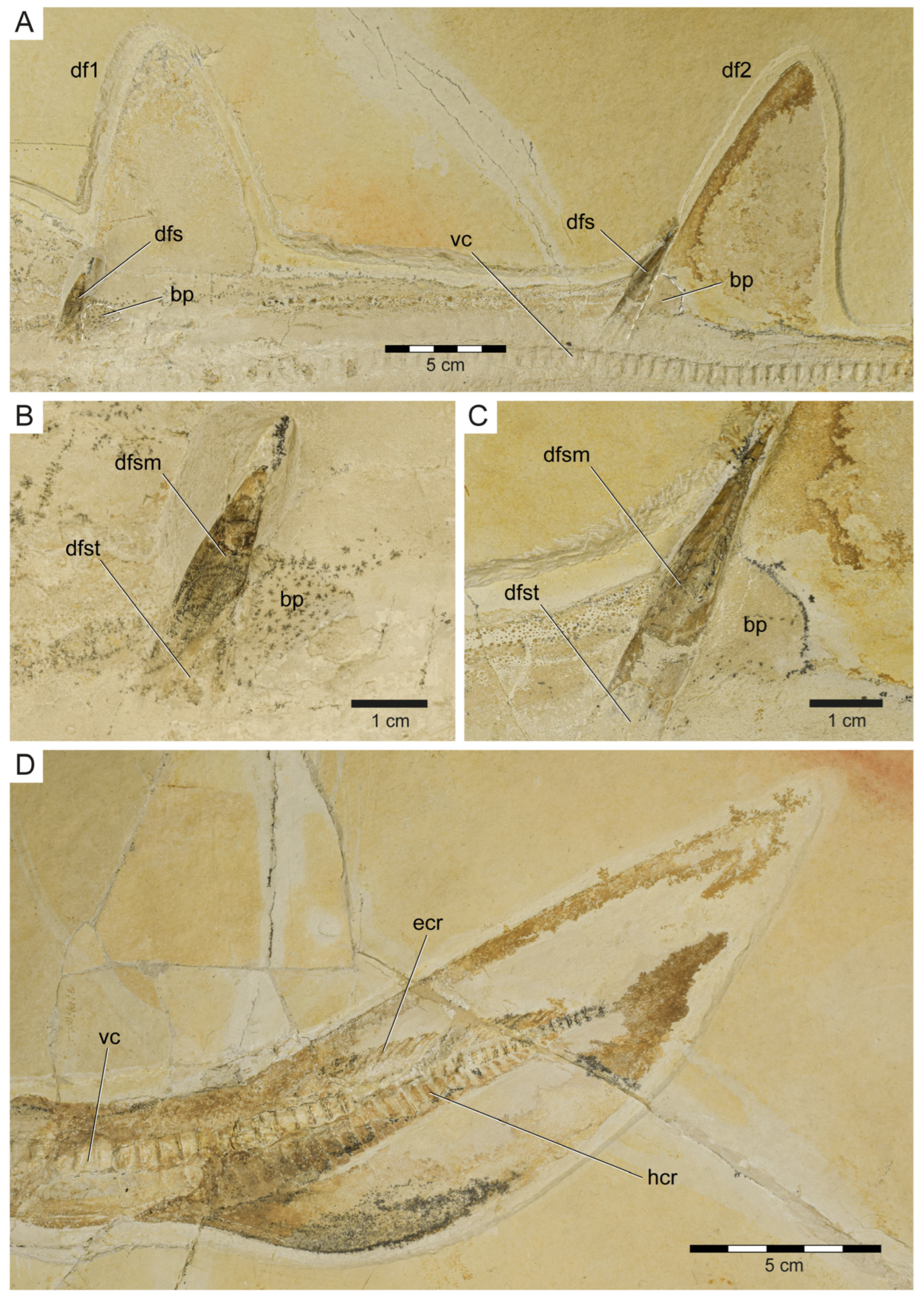 Diversity 15 00311 g007