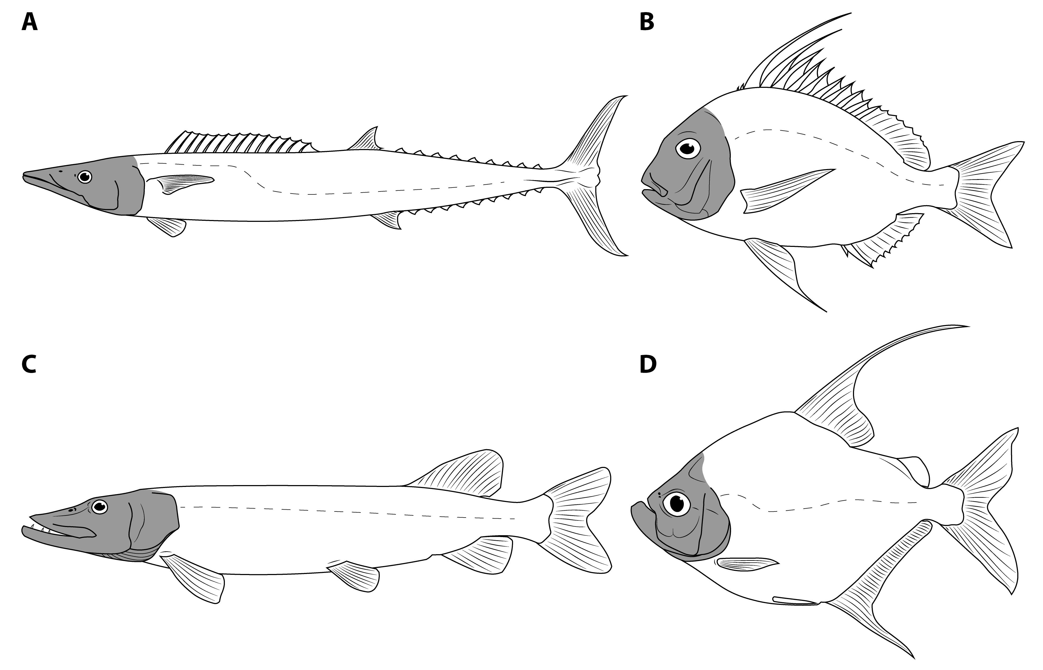 Diversity 15 00318 g002 Diversity 15 00318 g002