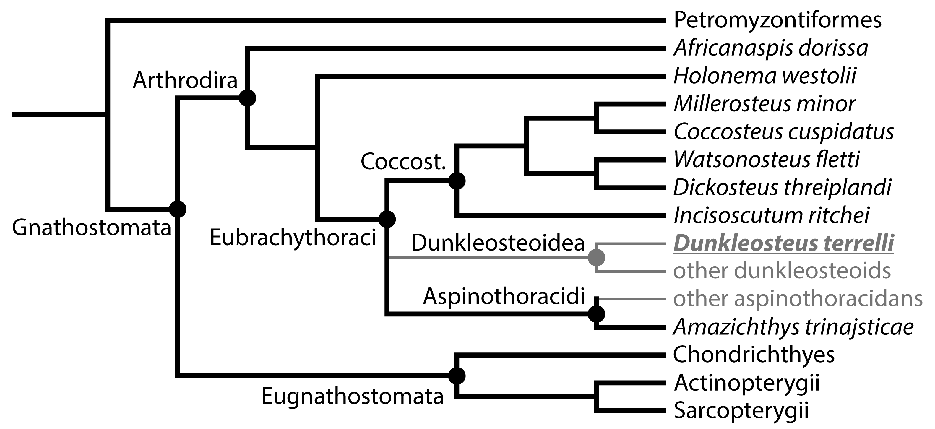 Diversity 15 00318 g003 Diversity 15 00318 g003
