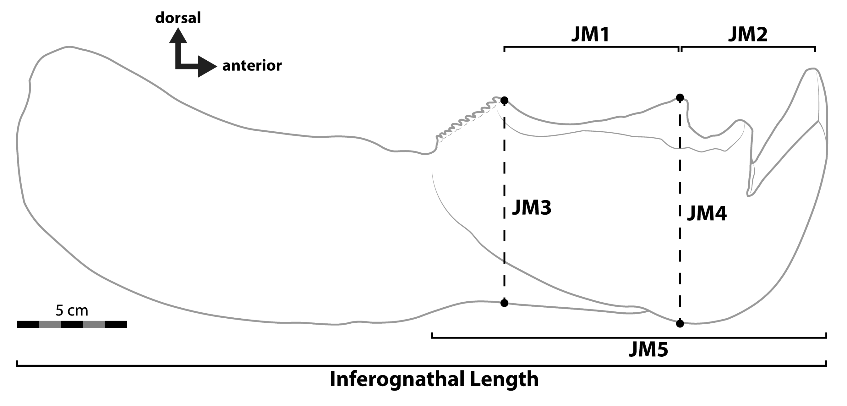 Diversity 15 00318 g006 Diversity 15 00318 g006