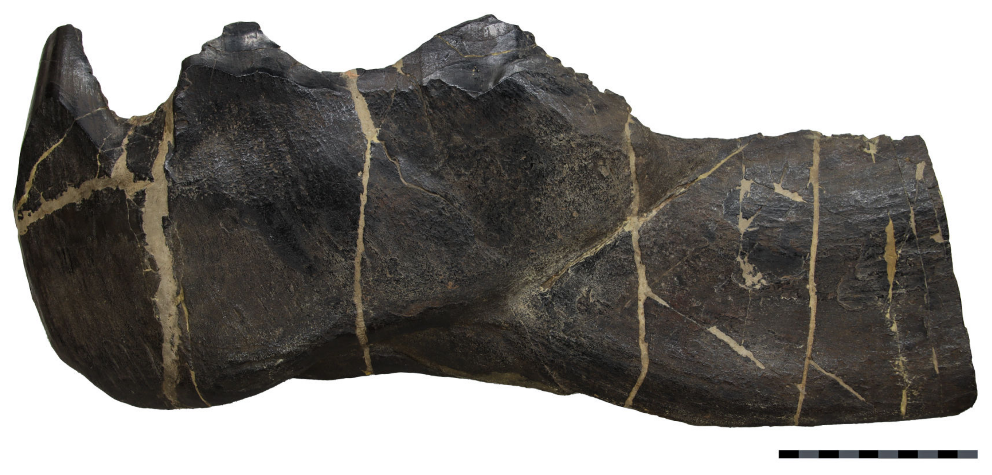 Diversity 15 00318 g009 Diversity 15 00318 g009