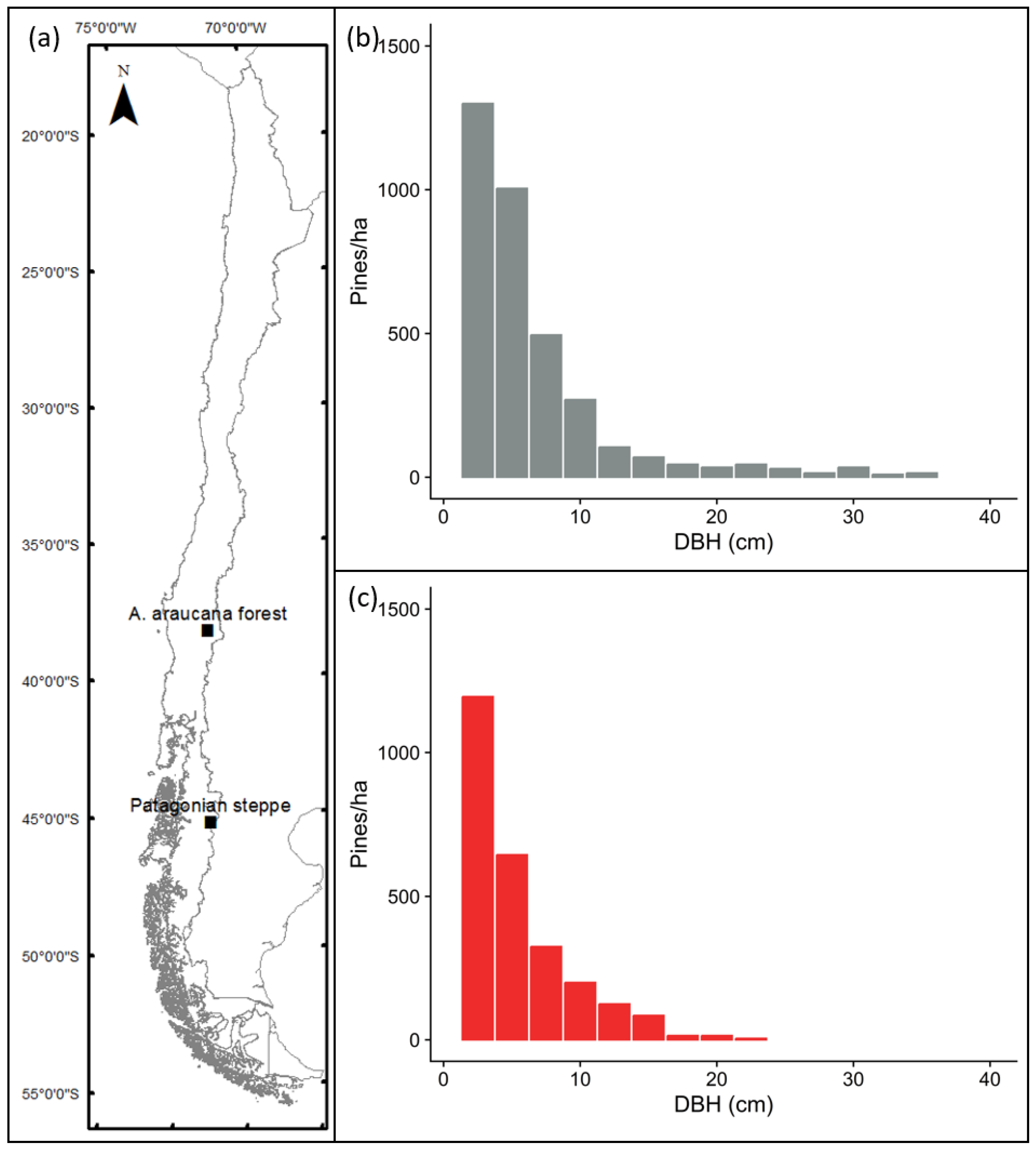 Diversity 15 00320 g001